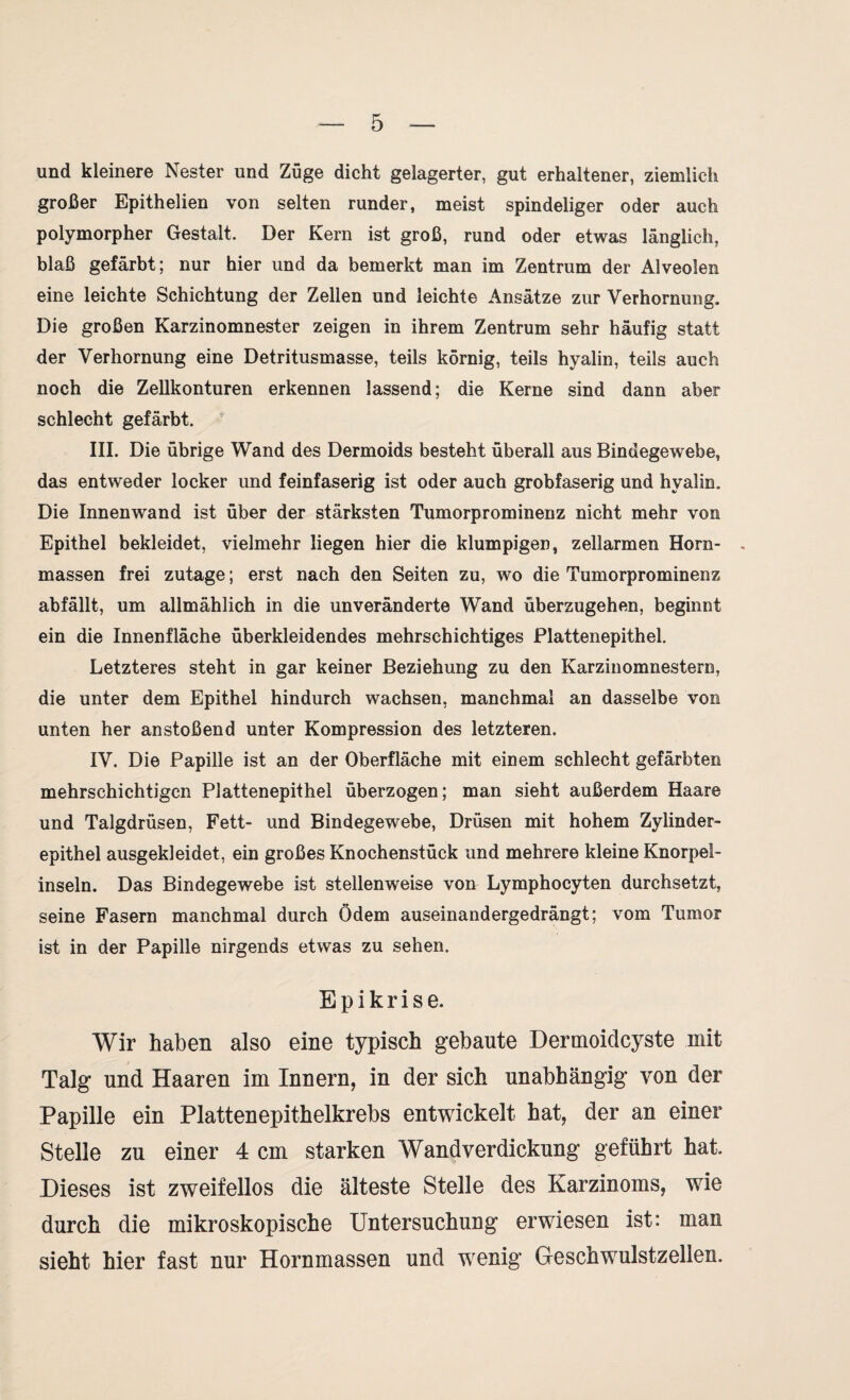 und kleinere Nester und Züge dicht gelagerter, gut erhaltener, ziemlich großer Epithelien von selten runder, meist spindeliger oder auch polymorpher Gestalt, Der Kern ist groß, rund oder etwas länglich, blaß gefärbt; nur hier und da bemerkt man im Zentrum der Alveolen eine leichte Schichtung der Zellen und leichte Ansätze zur Verhornung. Die großen Karzinomnester zeigen in ihrem Zentrum sehr häufig statt der Verhornung eine Detritusmasse, teils körnig, teils hyalin, teils auch noch die Zellkonturen erkennen lassend; die Kerne sind dann aber schlecht gefärbt. III. Die übrige Wand des Dermoids besteht überall aus Bindegewebe, das entweder locker und feinfaserig ist oder auch grobfaserig und hyalin. Die Innenwand ist über der stärksten Tumorprominenz nicht mehr von Epithel bekleidet, vielmehr liegen hier die klumpiger, zellarmen Horn- massen frei zutage; erst nach den Seiten zu, wo die Tumorprominenz abfällt, um allmählich in die unveränderte Wand überzugehen, beginnt ein die Innenfläche überkleidendes mehrschichtiges Plattenepithel. Letzteres steht in gar keiner Beziehung zu den Karzinomnestern, die unter dem Epithel hindurch wachsen, manchmal an dasselbe von unten her anstoßend unter Kompression des letzteren. IV. Die Papille ist an der Oberfläche mit einem schlecht gefärbten mehrschichtigen Plattenepithel überzogen; man sieht außerdem Haare und Talgdrüsen, Fett- und Bindegewebe, Drüsen mit hohem Zylinder¬ epithel ausgekleidet, ein großes Knochenstück und mehrere kleine Knorpel¬ inseln. Das Bindegewebe ist stellenweise von Lymphocyten durchsetzt, seine Fasern manchmal durch Ödem auseinandergedrängt; vom Tumor ist in der Papille nirgends etwas zu sehen. Epikrise. Wir haben also eine typisch gebaute Dermoiclcyste mit Talg und Haaren im Innern, in der sich unabhängig von der Papille ein Plattenepithelkrebs entwickelt hat, der an einer Stelle zu einer 4 cm starken Wandverdickung geführt hat. Dieses ist zweifellos die älteste Stelle des Karzinoms, wie durch die mikroskopische Untersuchung erwiesen ist: man sieht hier fast nur Hornmassen und wenig Geschwulstzellen.
