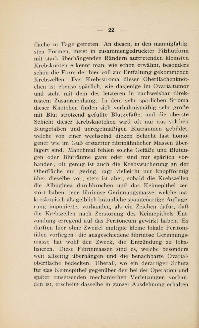 fläche zu Tage getreten. An diesen, in den mannigfaltig¬ sten Formen, meist in zusammengedrückter Pilzhutform mit stark überhängenden Rändern auftretenden kleinsten Krebsknoten erkennt man, wie schon erwähnt, besonders schön die Form der hier voll zur Entfaltung gekommenen Krebszellen. Das Krebsstroma dieser Oberflächenknöt¬ chen ist ebenso spärlich, wie dasjenige im Ovarialtumor und steht mit dem des letzteren in nachweisbar direk¬ testem Zusammenhang. In dem sehr spärlichen Stroma dieser Knötchen finden sich verhältnismäßig sehr große mit Blut strotzend gefüllte Blutgefäße, und die oberste Schicht dieser Krebsknötchen wird oft nur aus solchen Blutgefäßen und unregelmäßigen Bluträumen gebildet, welche von einer wechselnd dicken Schicht fast homo¬ gener wie im Guß erstarrter fibrinähnlicher Massen über¬ lagert sind. Manchmal fehlen solche Gefäße und Blutun¬ gen oder Blüträume ganz oder sind nur spärlich vor¬ handen; oft genug ist auch die Krebswucherung an der Oberfläche nur gering, ragt vielleicht nur knopfförmig über dieselbe vor; stets ist aber, sobald die Krebszellen die Albuginea durchbrochen und das Keimepithel zer¬ stört haben, jene fibrinöse Gerinnungsmasse, welche ma- * kroskopisch als gelblich-bräunliche spangenartige Auflage¬ rung imponierte, vorhanden, als ein Zeichen dafür, daß die Krebszellen nach Zerstörung des Keimepithels Ent¬ zündung erregend auf das Peritoneum gewirkt haben. Es dürften hier ohne Zweifel multiple kleine lokale Peritoni¬ tiden vorliegen; die ausgeschiedene fibrinöse Gerinnungs¬ masse hat wohl den Zweck, die Entzündung zu loka¬ lisieren. Diese Fibrinmassen sind es, welche besonders weit allseitig Überhängen und die benachbarte Ovarial- oberfläche bedecken. Überall, wo ein derartiger Schutz für das Keimepithei gegenüber den bei der Operation und später einsetzenden mechanischen Verletzungen vorhan¬ den ist, erscheint dasselbe in ganzer Ausdehnung erhalten