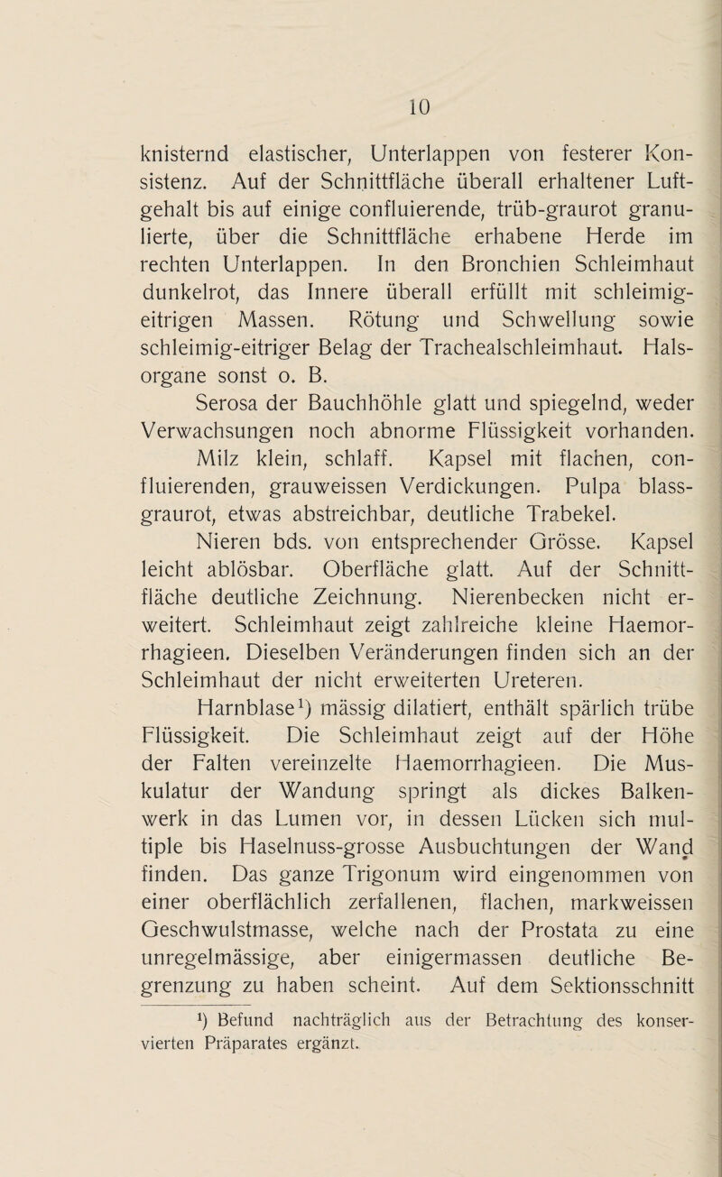 knisternd elastischer; Unterlappen von festerer Kon¬ sistenz. Auf der Schnittfläche überall erhaltener Luft¬ gehalt bis auf einige confluierende, trüb-graurot granu¬ lierte, über die Schnittfläche erhabene Herde im rechten Unterlappen. In den Bronchien Schleimhaut dunkelrot, das Innere überall erfüllt mit schleimig¬ eitrigen Massen. Rötung und Schwellung sowie schleimig-eitriger Belag der Trachealschleimhaut. Hals¬ organe sonst o. B. Serosa der Bauchhöhle glatt und spiegelnd, weder Verwachsungen noch abnorme Flüssigkeit vorhanden. Milz klein, schlaff. Kapsel mit flachen, con- fluierenden, grauweissen Verdickungen. Pulpa blass¬ graurot, etwas abstreichbar, deutliche Trabekel. Nieren bds. von entsprechender Grösse. Kapsel leicht ablösbar. Oberfläche glatt. Auf der Schnitt¬ fläche deutliche Zeichnung. Nierenbecken nicht er¬ weitert. Schleimhaut zeigt zahlreiche kleine Haemor- rhagieen. Dieselben Veränderungen finden sich an der Schleimhaut der nicht erweiterten Ureteren. Harnblase1) mässig dilatiert, enthält spärlich trübe Flüssigkeit. Die Schleimhaut zeigt auf der Höhe der Falten vereinzelte Haemorrhagieen. Die Mus¬ kulatur der Wandung springt als dickes Balken¬ werk in das Lumen vor, in dessen Lücken sich mul¬ tiple bis Haselnuss-grosse Ausbuchtungen der Wand finden. Das ganze Trigonum wird eingenommen von einer oberflächlich zerfallenen, flachen, markweissen Geschwulstmasse, welche nach der Prostata zu eine unregelmässige, aber einigermassen deutliche Be¬ grenzung zu haben scheint. Auf dem Sektionsschnitt h Befund nachträglich aus der Betrachtung des konser¬ vierten Präparates ergänzt.