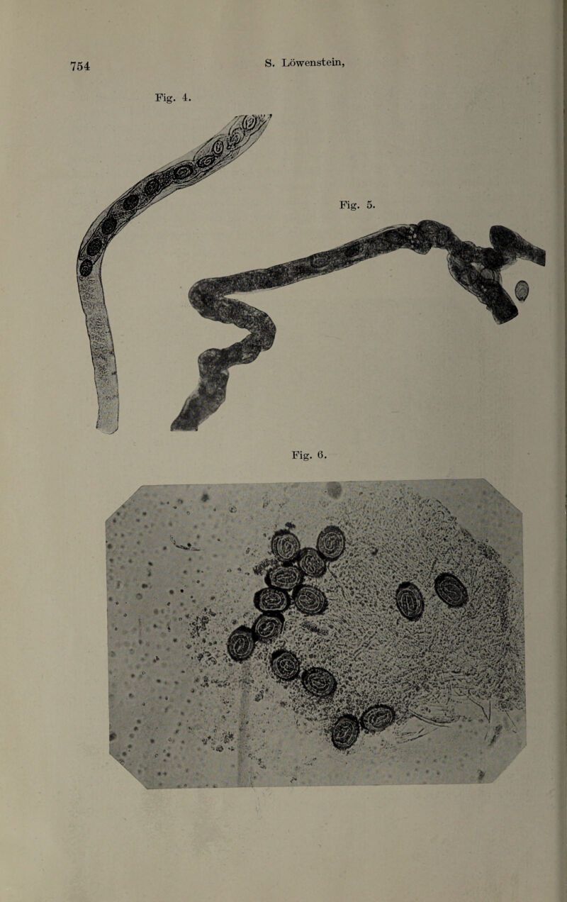 Fig. 4. I ' * Fig. 6.