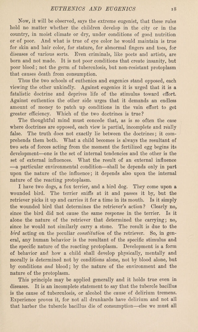 digitised image 3