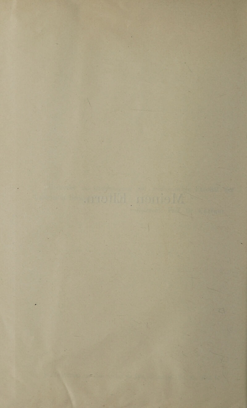 •. * Ü-' ’: ^ •*>. * /' Vi4il+' '■»V '. • > •■»:i i'?. .' j X. • . # ' • > nn M • .■'* J.» ■ ■ 'C*')- y • ■•^ ‘W - ^ - V '4 •. j \ -•» .> : ^rJ ■■.•»•• ‘i'’' :>i-1 * * • *_* ■'^ • . ^ ^ ' I ’ '■ '^' ■; ■ i :-■ ^-r^y./r-'l