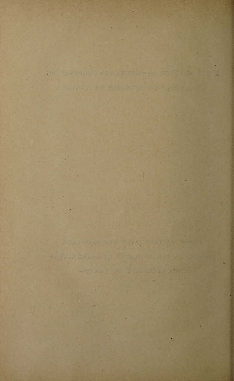 ■ c • * ' ;Y' ■> . * ■ ■ . ■ ■ . V ■ * Y -V ■ * ; ■ r «■ y* ■■ ’ - v •’ Y v ' -■ - t / / - • . - . 'si. ’ 'r . a 1