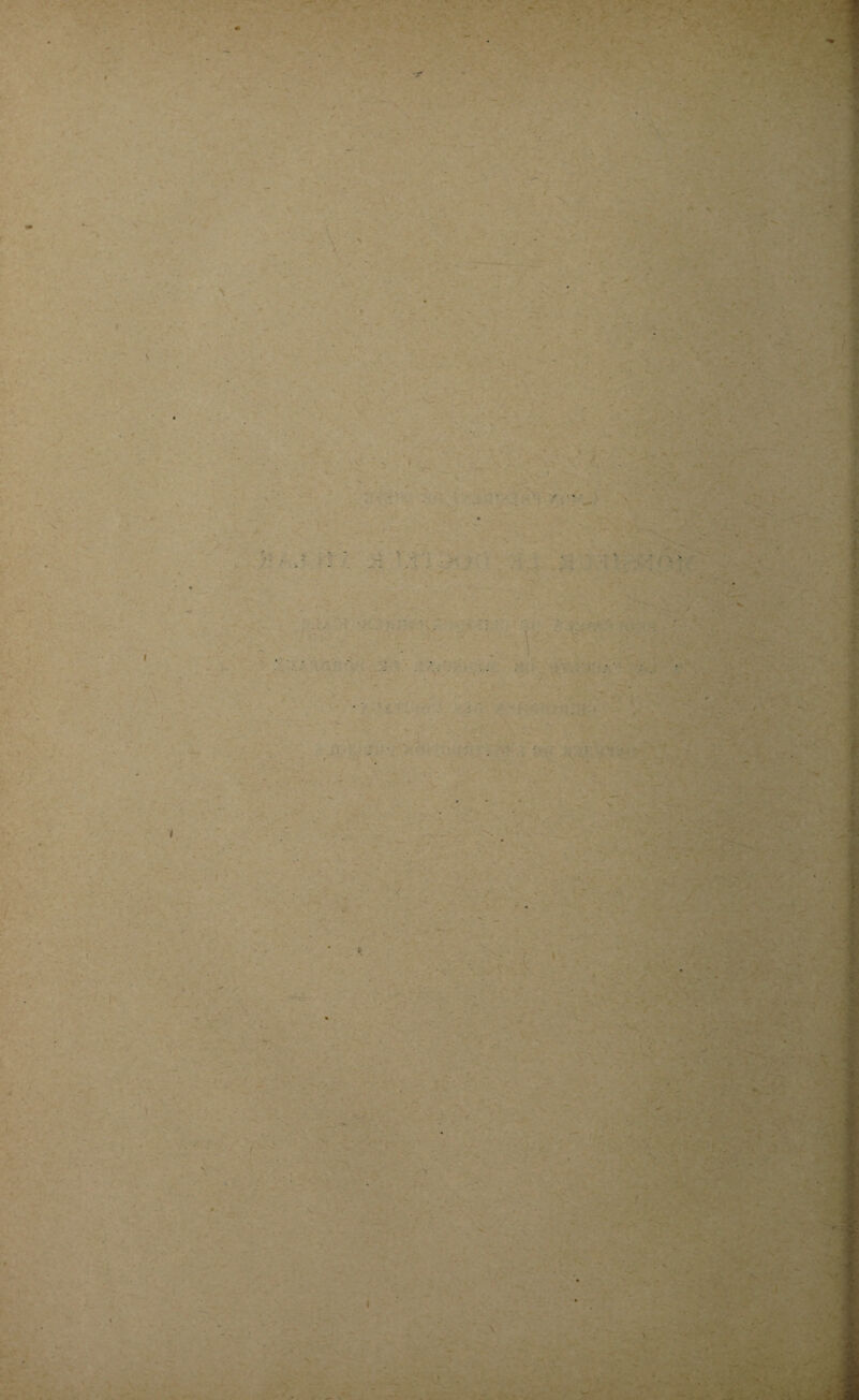 s * > V \ I I ï V ' ■ <! ■4. ! “V S y *■ *•