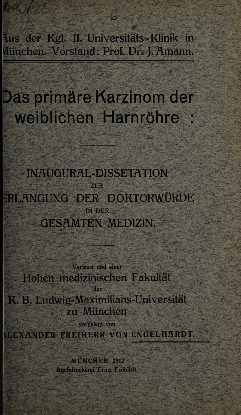 -V eS ;* igääkmä ''?§*• '4? §§ -. us der Kgl. II. Universitäts - Klinik in Vorstand: Prof. Dr. J. Ämann. Sr tS- *!$k ;s-- 3 rr ; '  . '.sau* INÄeQUßfllE-DISSErmTION • ;. zur ||||l|p - I ^sl; ■ | ;RU\NaiINQ DER DOKTORWÜRDE ' - Ifegi In DEii ® - -M. -IS ■ - 0-t-’.T. j#Sfe^r ^r. :.:>c t gsp> 3s&“ - Verlasst einer $*<*•'• %-TT K. B. Liidwig-Maximilians-üniversität zu München vorgelegt von FREIHERR VON ENCiELHHRDT. «pijM| MÜNCHEN 1912 Buchdruckerei Ernst Fröhlich. St^a2' SäsSfla&i ■■ - <»»;. - —-?r --■„.- -