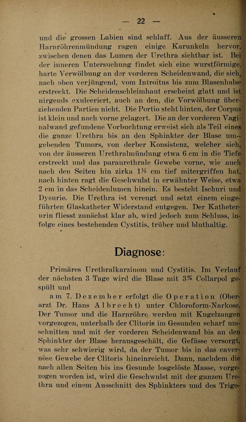 * und die grossen Labien sind schlaff. Aus der äusseren Harnröhrenmündung ragen einige Karunkeln hervor, zwischen denen das Lumen der Urethra sichtbar ist. Bei der inneren Untersuchung findet sich eine wurstförmige, harte Verwölbung an der vorderen Scheidenwand, die sicli^ nach oben verjüngend, vom Introitus bis zum Blasenhalse erstreckt. Die Scheidenschleimhaut erscheint glatt und ist nirgends exulceriert, auch an den, die Vorwölbung über¬ ziehenden Partien nicht. Die Portio steht hinten, der Corpus ist klein und nach vorne gelagert. Die an der vorderen Vagi¬ nalwand gefundene Vorbuchtung erweist sich als Teil eines die ganze Urethra bis an den Sphinkter der Blase um¬ gebenden Tumors, von derber Konsistenz, welcher sich, von der äusseren Urethralmündung etwa 6 cm in die Tiefe erstreckt und das paraurethrale Gewebe vorne, wie auch nach den Seiten hin zirka 1L cm tief mitergriffen hat, nach hinten ragt die Geschwulst in erwähnter Weise, etwa 2 cm in das Scheidenlumen hinein. Es besteht Ischuri und Dysurie. Die Urethra ist verengt und setzt einem einge¬ führten Glaskatheter Widerstand entgegen. Der Katheter- nrin fliesst zunächst klar ab, wird jedoch zum Schluss, in¬ folge eines bestehenden Cystitis, trüber und bluthaltig. «* Diagnose: Primäres Urethralkarzinom und Cystitis. Im Verlauf der nächsten 3 Tage wird die Blase mit 3% Collarpol ge¬ spült und a in 7. D e z e m b e r erfolgt die Operation (Ober¬ arzt Dr. Hans Albrecht) unter Chloroform-Narkose. Der Tumor und die Harnröhre werden mit Kugelzangen / w« Hl vorgezogen, unterhalb der Clitoris im Gesunden scharf Um¬ schnitten und mit der vorderen Scheidenwand bis an den Sphinkter der Blase herausgeschält, die Gefässe versorgt, was sehr schwierig wird, da der Tumor bis in das caver- nöse Gewebe der Clitoris hineinreicht. Dann, nachdem die nach allen Seiten bis ins Gesunde losgelöste Masse, vorge¬ zogen worden ist, wird die Geschwulst mit der ganzen Ure¬ thra und einem Ausschnitt des Sphinkters und des Trigo-