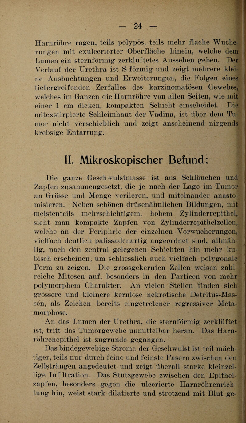 Harnröhre ragen, teils polypös, teils mehr flache Wuche¬ rungen mit exnlcerierter Oberfläche hinein, welche dem Lumen ein sternförmig zerklüftetes Aussehen gehen. Her Verlauf der Urethra ist S-förmig und zeigt mehrere klei¬ ne Ausbuchtungen und Erweiterungen, die Folgen eines tiefergreifenden Zerfalles des karzinomatösen Gewebes, welches im Ganzen die Harnröhre von allen Seiten, wie mit einer 1 cm dicken, kompakten Schicht einscheidet. Die mitexstirpierte Schleimhaut der Vadina, ist über dem Tu¬ mor nicht verschieblich und zeigt anscheinend nirgends krebsige Entartung. II. Mikroskopischer Befund: Die ganze Gescb wulstmasse ist aus Schläuchen und Zapfen zusammengesetzt, die je nach der Lage im Tumor an Grösse und Menge veriieren, und miteinander anasto- misieren. Neben schönen drüsenähnlichen Bildungen, mit meistenteils mehrschichtigem, hohem Zylinderrepithel, sieht man kompakte Zapfen von Zylinderrepithelzellen, welche an der Periplirie der einzelnen Vorwucherungen, vielfach deutlich palissadenartig angeordnet sind, allmäh- lig, nach den zentral gelegenen Schichten hin mehr ku¬ bisch erscheinen, um schliesslich auch vielfach polygonale Form zu zeigen. Die grossgekernten Zellen weisen zahl¬ reiche Mitosen auf, besonders in den Partieen von mehr polymorphem Charakter. An vielen Stellen finden sich grössere und kleinere kernlose nekrotische Detritus-Mas¬ sen, als Zeichen bereits eingetretener regressiver Meta¬ ll lorpli ose. An das Lumen der Urethra, die sternförmig zerklüftet ist, tritt das Tumorgewebe unmittelbar heran. Das Harn¬ röhrenepithel ist zugrunde gegangen. Das bindegewebige Stroma der Geschwulst ist teil mäch¬ tiger, teils nur durch feine und feinste Fasern zwischen den Zellsträngen angedeutet und zeigt überall starke kleinzel¬ lige Infiltration. Das Stützgewebe zwischen den Epithel¬ zapfen, besonders gegen die ulcerierte Harnröhrenrich¬ tung hin, weist stark dilatierte und strotzend mit Blut ge- >-•