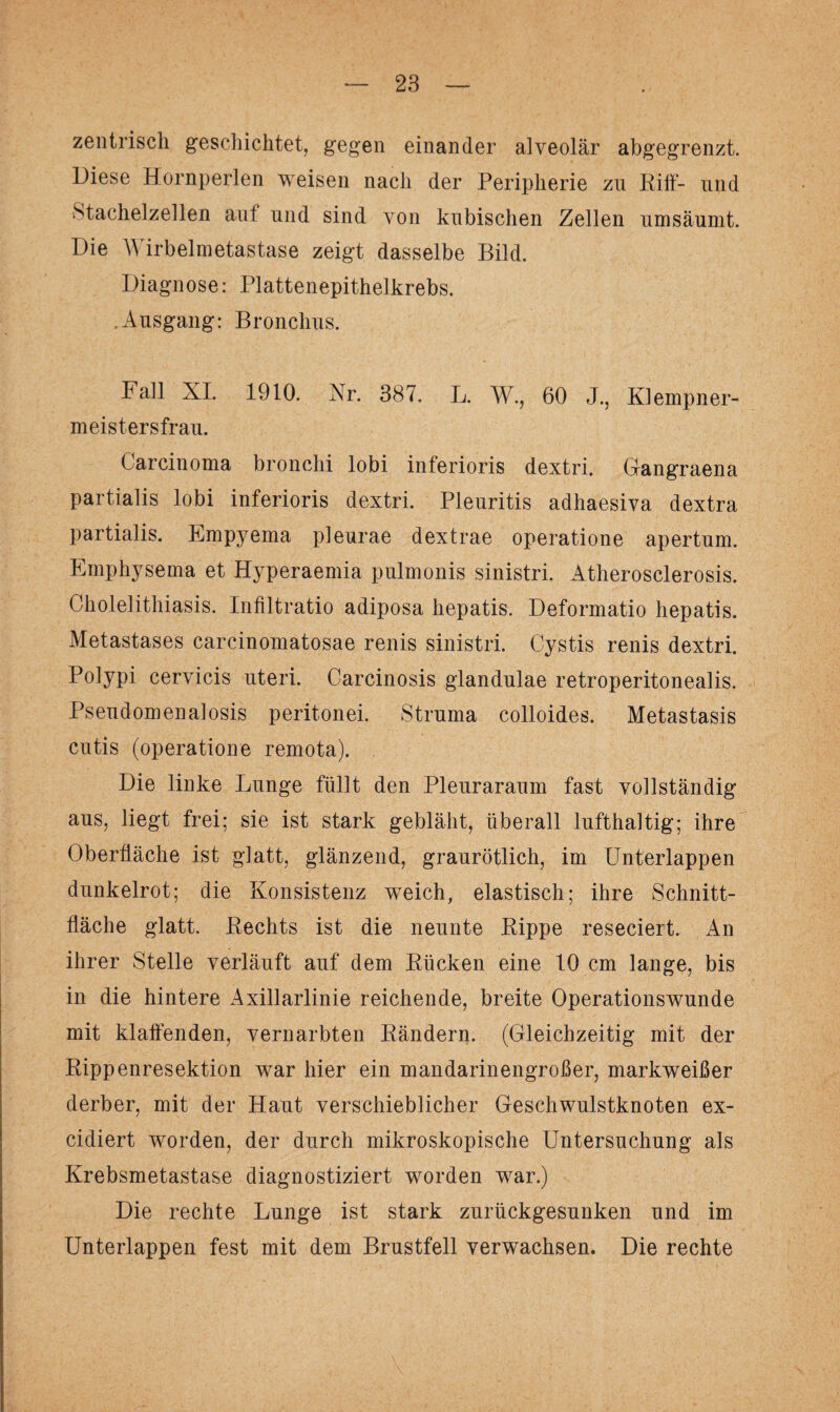 zentrisch geschichtet, gegen einander alveolär abgegrenzt. Diese Hornperlen weisen nach der Peripherie zu Riff- und Stachelzellen aut und sind von kubischen Zellen umsäumt. Die Wirbelmetastase zeigt dasselbe Bild. Diagnose: Plattenepithelkrebs. .Ausgang: Bronchus. Fall XI. 1910. Nr. 387. L. W., 60 J., Klempner¬ meistersfrau. Carcinoma bronchi lobi inferioris dextri, Gangraena partialis lobi inferioris dextri. Pleuritis adhaesiva dextra partialis. Empyema pleurae dextrae operatione apertum. Emphysema et Hyperaemia pulmonis sinistri. Atherosclerosis. Cholelithiasis. Infiltratio adiposa hepatis. Deformatio hepatis. Metastases carcinomatosae renis sinistri. Cystis renis dextri. Polypi cervicis uteri. Garcinosis glandulae retroperitonealis. Pseudomenalosis peritonei. Struma colloides. Metastasis cutis (operatione remota). Die linke Lunge füllt den Pleuraraum fast vollständig aus, liegt frei; sie ist stark gebläht, überall lufthaltig; ihre Oberfläche ist glatt, glänzend, graurötlich, im Unterlappen dunkelrot; die Konsistenz weich, elastisch; ihre Schnitt¬ fläche glatt. Rechts ist die neunte Rippe reseciert. An ihrer Stelle verläuft auf dem Rücken eine 10 cm lange, bis in die hintere Axillarlinie reichende, breite Operationswunde mit klaffenden, vernarbten Rändern. (Gleichzeitig mit der Rippenresektion war hier ein mandarinengroßer, markweißer derber, mit der Haut verschieblicher Geschwulstknoten ex- cidiert worden, der durch mikroskopische Untersuchung als Krebsmetastase diagnostiziert worden war.) Die rechte Lunge ist stark zurückgesunken und im Unterlappen fest mit dem Brustfell verwachsen. Die rechte