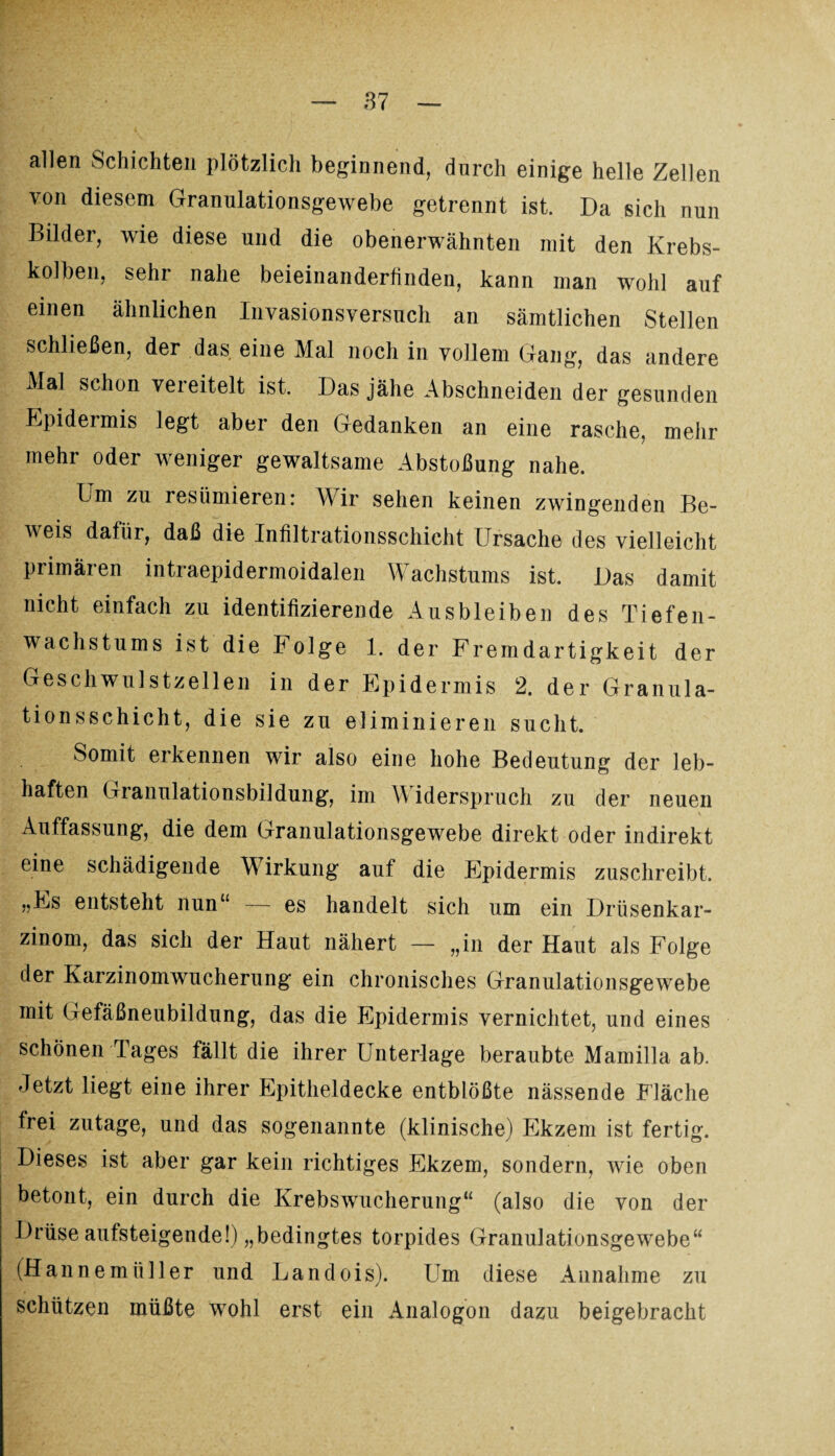 allen Schichten plötzlich beginnend, durch einige helle Zellen von diesem Granulationsgewebe getrennt ist. Da sich nun Bilder, wie diese und die obenerwähnten mit den Krebs¬ kolben, sehr nahe beieinanderfinden, kann man wohl auf einen ähnlichen Invasionsversuch an sämtlichen Stellen schließen, der das. eine Mal noch in vollem Gang, das andere Mal schon vereitelt ist. Das jähe Abschneiden der gesunden Epidermis legt aber den Gedanken an eine rasche, mehr mehr oder weniger gewaltsame Abstoßung nahe. Lm zu resümieren: Wir sehen keinen zwingenden Be¬ weis dafür, daß die Infiltrationsschicht Ursache des vielleicht primären intraepidermoidalen Wachstums ist. Das damit nicht einfach zu identifizierende Ausbleiben des Tiefen¬ wachstums ist die Folge 1. der Fremdartigkeit der Geschwulstzellen in der Epidermis 2. der Granula¬ tionsschicht, die sie zu eliminieren sucht. Somit erkennen wir also eine hohe Bedeutung der leb¬ haften Gianulationsbildung, im \\ iderspruch zu der neuen Auffassung, die dem Granulationsgewebe direkt oder indirekt eine schädigende Wirkung auf die Epidermis zuschreibt. „Es entsteht nun“ — es handelt sich um ein Drüsenkar¬ zinom, das sich der Haut nähert — „in der Haut als Folge der Karzinomwucherung ein chronisches Granulationsgewebe mit Gefäßneubildung, das die Epidermis vernichtet, und eines schönen Tages fällt die ihrer Unterlage beraubte Mamilla ab. Jetzt liegt eine ihrer Epitheldecke entblößte nässende Fläche frei zutage, und das sogenannte (klinische) Ekzem ist fertig. Dieses ist aber gar kein richtiges Ekzem, sondern, wie oben betont, ein durch die Krebswucherung“ (also die von der Drüse aufsteigende!) „bedingtes torpides Granulationsgewebe“ (Hannemüller und Landois). Um diese Annahme zu schützen müßte wohl erst ein Analogon dazu beigebracht