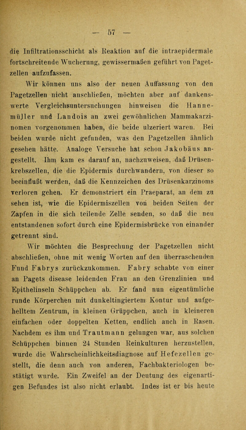 die Infiltrationsschicht als Reaktion auf die intraepidermale fortschreitende Wucherung, gewissermaßen geführt von Paget¬ zellen aufzufassen. Wir können uns also der neuen Aulfassung von den Pagetzellen nicht anschließen, möchten aber auf dankens¬ werte Vergleichsuntersuchungen hinweisen die Plan ne¬ in iijl er und Landois an zwei gewöhnlichen Mammakarzi¬ nomen vorgenommen haben, die beide ulzeriert waren. Bei beiden wurde nicht gefunden, was den Pagetzellen ähnlich gesehen hätte. Analoge Versuche hat schon Jakobäus an¬ gestellt. Ihm kam es darauf an, nachzuweisen, daß Drüsen¬ krebszellen, die die Epidermis durchwandern, von dieser so beeinflußt werden, daß die Kennzeichen des Drüsenkarzinoms verloren gehen. Er demonstriert ein Praeparat, an dem zu sehen ist, wie die Epidermiszellen von beiden Seiten der Zapfen in die sich teilende Zelle senden, so daß die neu entstandenen sofort durch eine Epidermisbrücke von einander getrennt sind. Wir möchten die Besprechung der Pagetzellen nicht abschließen, ohne mit wenig Worten auf den überraschenden Fund Fabrys zurückzukommen. Fabry schabte von einer an Pagets disease leidenden Frau an den Grenzlinien und Epithelinseln Schüppchen ab. Er fand nun eigentümliche runde Körperchen mit dunkeltingiertem Kontur und aufge¬ helltem Zentrum, in kleinen Grüppchen, auch in kleineren einfachen öder doppelten Ketten, endlich auch in Rasen. Nachdem es ihm und Traut mann gelungen war, aus solchen Schüppchen binnen 24 Stunden Reinkulturen herzustellen, wurde die Wahrscheinlichkeitsdiagnose auf Hefezellen ge¬ stellt, die denn auch von anderen, Fachbakteriologen be¬ stätigt wurde. Ein Zweifel an der Deutung des eigenarti¬ gen Befundes ist also nicht erlaubt. Indes ist er bis heute
