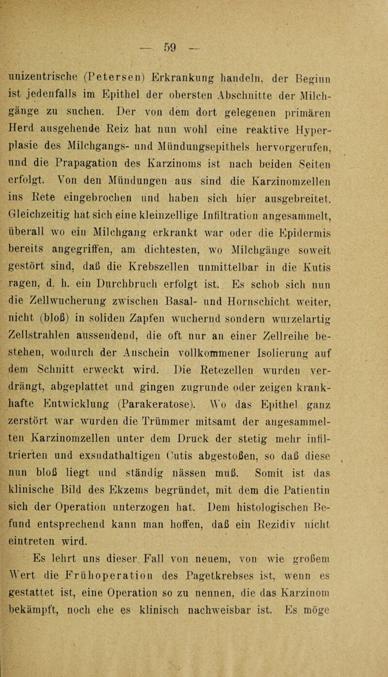 unizentrische (Petersen) Erkrankung handeln, der Beginn ist jedenfalls im Epithel der obersten Abschnitte der Milch¬ gänge zu suchen. Der von dem dort gelegenen primären Herd ausgehende Reiz hat nun wohl eine reaktive Hyper¬ plasie des Milchgangs- und Mündungsepithels hervorgerufen, und die Prapagation des Karzinoms ist nach beiden Seiten erfolgt. Von den Mündungen aus sind die Karzinomzellen ins Rete eingebrochen und haben sich hier ausgebreitet. Gleichzeitig hat sich eine kleinzellige Infiltration angesammelt, überall wo ein Milchgang erkrankt war oder die Epidermis bereits angegriffen, am dichtesten, wo Milchgänge soweit gestört sind, daß die Krebszellen unmittelbar in die Kutis ragen, d. h. ein Durchbruch erfolgt ist. Es schob sich nun die Zellwucherung zwischen Basal- und Hornschicht weiter, nicht (bloß) in soliden Zapfen wuchernd sondern wurzelartig Zellstrahlen aussendend, die oft nur an einer Zellreihe be¬ stehen, wodurch der Anschein vollkommener Isolierung auf dem Schnitt erweckt wird. Die Retezellen wurden ver¬ drängt, abgeplattet und gingen zugrunde oder zeigen krank¬ hafte Entwicklung (Parakeratose). Wo das Epithel ganz zerstört war wurden die Trümmer mitsamt der angesammel¬ ten Karzinomzellen unter dem Druck der stetig mehr infil¬ trierten und exsudathaltigen Cutis abgestoßen, so daß diese nun bloß liegt und ständig nässen muß. Somit ist das klinische Bild des Ekzems begründet, mit dem die Patientin sich der Operation unterzogen hat. Dem histologischen Be¬ fund entsprechend kann man hoffen, daß ein Rezidiv nicht eintreten wird. Es lehrt uns dieser Fall von neuem, von wie großem Wert die Früh Operation des Pagetkrebses ist, wenn es gestattet ist, eine Operation so zu nennen, die das Karzinom bekämpft, noch ehe es klinisch nachweisbar ist. Es möge
