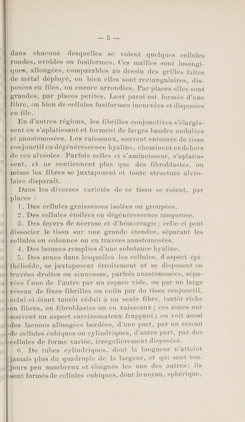 dans chacune desquelles se voient quelques cellules rondes, ovoïdes ou fusiformes. Ces mailles sont losangi- ques, allongées, comparables au dessin des grilles faites de métal déployé, ou bien elles sont rectangulaires, dis¬ posées en files, ou encore arrondies. Par places elles sont grandes, par places petites. Leur paroi est formée d’une fibre, ou bien de cellules fusiformes incurvées et disposées en file. En d’autres régions, les fibrilles conjonctives s’élargis¬ sent en s’aplatissant et forment de larges bandes ondulées et anastomosées. Les vaisseaux, souvent entourés de tissu conjonctif en dégénérescence hyaline, cheminent en dehors de ces alvéoles. Parfois celles-ci s’amincissent, s’aplatis¬ sent, et ne contiennent plus que des fibroblastes, ou même les fibres se juxtaposent et toute structure alvéo¬ laire disparaît. Dans les diverses variétés de ce tissu se voient, par places : 1. Des cellules graisseuses isolées ou groupées. 2. Des cellules étoilées en dégénérescence muqueuse. 3. Des foyers de nécrose et d’hémorragie; celle-ci peut dissocier le tissu sur une grande étendue, séparant les cellules en colonnes ou en travées anastomosées. 4. Des lacunes remplies d’une substance hyaline. 5. Des zones dans lesquelles les cellules, d aspect épi¬ thélioïde, se juxtaposent étroitement et se disposent en travées droites ou sinueuses, parfois anastomosées, sépa¬ rées rune de l’autre par un espace vide, ou par un large réseau de fines fibrilles ou enfin par du tissu conjonctif, celui-ci étant tantôt réduit à un seule fibre, tantôt riche en fibres, en fibroblastes ou en vaisseaux ; ces zones ont souvent un aspect carcinomateux frappant; on voit aussi des lacunes allongées bordées, d’une part, par un réseau de cellules cubiques ou cylindriques, d’autre part, par des cellules de forme variée, irrégulièrement disposées. 6. De tubes cylindriques, dont la longueur n’atteint jamais plus du quadruple de la largeur, et qui sont tou¬ jours peu nombreux et éloignés les uns des autres; ils sont formés de cellules cubiques, dont le noyau, sphérique',
