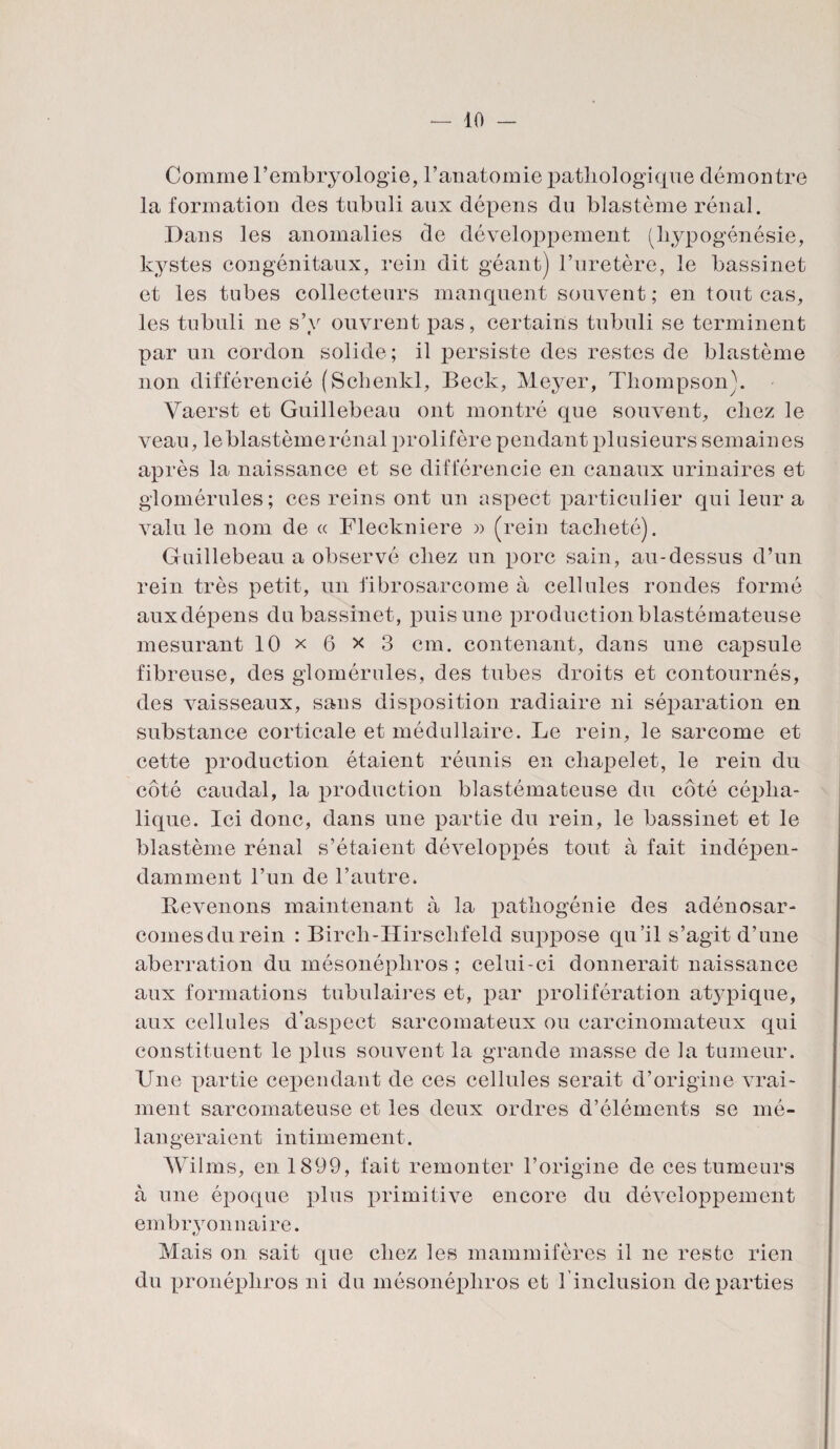 Comme l’embryologie, l’anatomie pathologique démontre la formation des tubuli aux dépens du blastème rénal. Dans les anomalies de développement (hypogénésie, kystes congénitaux, rein dit géant) l’uretère, le bassinet et les tubes collecteurs manquent souvent; en tout cas, les tubuli ne s’y ouvrent pas, certains tubuli se terminent par un cordon solide; il persiste des restes de blastème non différencié (Schenkl, Beck, Meyer, Thompson). Yaerst et Guillebeau ont montré que souvent, chez le veau, le blastème rénal prolifère pendant plusieurs semaines après la naissance et se différencie en canaux urinaires et glomérules; ces reins ont un aspect particulier qui leur a valu le nom de « Fleckniere » (rein tacheté). Guillebeau a observé chez un porc sain, au-dessus d’un rein très petit, un fibrosarcome à cellules rondes formé aux dépens du bassinet, puis une production blastémateuse mesurant 10 x 6 x 3 cm. contenant, dans une capsule fibreuse, des glomérules, des tubes droits et contournés, des vaisseaux, sans disposition radiaire ni séparation en substance corticale et médullaire. Le rein, le sarcome et cette production étaient réunis en chapelet, le rein du côté caudal, la production blastémateuse du côté cépha¬ lique. Ici donc, dans une partie du rein, le bassinet et le blastème rénal s’étaient développés tout à fait indépen¬ damment l’un de l’autre* Revenons maintenant à la pathogénie des adénosar- comesdurein : Birch-ïïirschfeld suppose qu’il s’agit d’une aberration du mésonéphros; celui-ci donnerait naissance aux formations tubulaires et, par prolifération atypique, aux cellules d’aspect sarcomateux ou carcinomateux qui constituent le plus souvent la grande masse de la tumeur. Une partie cependant de ces cellules serait d’origine vrai¬ ment sarcomateuse et les deux ordres d’éléments se mé¬ langeraient intimement. Wilms, en 1899, fait remonter l’origine de ces tumeurs à une époque plus primitive encore du développement embrvonnaire. Mais on sait que chez les mammifères il ne reste rien du pronéphros ni du mésonéphros et 1 inclusion départies
