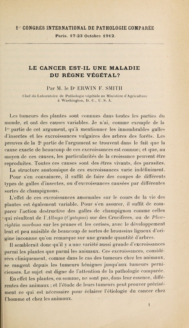digitised image 3
