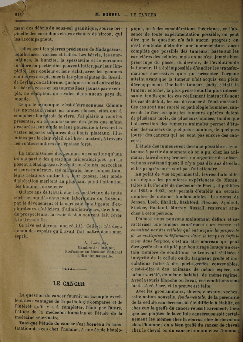 mant des débris du sous-sol granitique, source ori¬ ginelle des corindons et des cristaux de zircon, qui les accompagnent. Telles sont les pierres précieuses de Madagascar, nombreuses, variées et belles. Les béryls, les tour¬ malines, la kunzite, la spessartite et le corindon incolore en particulier peuvent lutter,par leur lim¬ pidité, leur couleur et leur éclat, avec les gemmes similaires des gisements les plus réputés du Brésil, de Ceylan, de Californie. Quelques-unes d’entre elles, les béryls roses et les tourmalines jaunes par exem¬ ple, ne comptent de rivales dans aucun pays du monde. \ Ce qui leur manque, c’est d’être connues. Comme les nouveaux venus en toutes choses, elles ont à conquérir leurvdroit de vivre. J’ai plaisir à vous les présenter, en reconnaissance des joies que m’ont procurées leur étude et leur poursuite à travers les vastes espaces solitaires des hauts plateaux, illu¬ minés par le clair soleil de l’hiver austral, à travers - les voûtes sombres de l’épaisse forêt. V * La connaissance des gemmes ne constitue qu’une infime partie des questions minéralogiques qui se posent à Madagascar. Ses volcans éteints, ses roches et leurs minéraux, ses minerais, leur composition, leurs relations mutuelles, leur genèse, leur mode d’altération méritent au plus haut point l’attention des hommes de science. Quinze ans de travail sur les ^matériaux de toute sorte accumulés dans mon laboratoire du Muséum par le dévouement et la curiosité 'intelligente d’ex¬ plorateurs, d’officiers, d’administrateurs, de colons, de prospecteurs, m’avaient bien souvent fait rêver à la Grande Ile. Ce rêve est devenu une réalité. Celle-ci n’a déçu aucun des espoirs qu’il avait fait naître dans mon esprit. A. Lacroîx, Membre de l'Institut, Professeur au Muséum National d’IIistoire naturelle. —-- LE CANCER La question du cancer fournit un exemple excel¬ lent des avantages de la pathologie comparée et de 1 intérêt qu il y a à compléter, l’une par l’autre, l’étude de la médecine humaine et l’étude de la médecine vétérinaire. Tant que l’étude du cancer s’est bornée à la cons¬ tatation des cas chez l’homme, à une étude histolo- ___:_ - ■ ■ ■ —.■■■■■■■■ ■ . zz. . ' ,J . • - - .. 33 ] gique, ou à des considérations théoriques, en l’ab¬ sence de toute expérimentation possible, on peut dire que la question n’a fait aucun progrès ; on> s’est contenté d’établir une nomenclature aussi complète que possible des tumeurs, basée sur les- caractères des cellules, mais on ne s’est jamais bien préoccupé du passé, du devenir, de l’évolution de la tumeur. Il a été impossible d’étudier les transfor¬ mations successives qu’a pu présenter l’organe atteint avant que la tumeur n’ait acquis son plein développement. Une belle tumeur, jadis, c’était la tumeur énorme, la plus grosse était la plus intéres¬ sante, tandis que ies cas réellement instructifs sont les cas de début, les cas de cancer à l’état naissant. . Ces cas sont une rareté en pathologie humaine, can¬ cer de la face excepté; les tumeurs opérées datent de plusieurs mois, de plusieurs années, tandis que l’observation des tumeurs animales permet d’étu¬ dier des cancers de quelques semaines, de quelques- jours: des cancers qui ne sont pas encore des can¬ cers.’ L’étude des tumeurs est devenue possible et fruc¬ tueuse à partir du moment où on a pu, chez les ani¬ maux, faire des expériences ou organiser des obser¬ vations systématiques; il n’y a pas dix ans de cela,, et les progrès ne se sont pas fait attendre. Au point de vue expérimental, les résultats obte¬ nus depuis les premières expériences de Morau, faites à la Faculté de médecine de Paris, et publiées de 1894 à 1903, ont permis d'établir un certain nombre de notions fondamentales. Les noms de Jensen, Loeb, Ehrlich, Bashford, Flexner, Apolant, Sticker, Haaland, Murray, Russell, resteront atta¬ chés à cette période. D’abord nous pouvons maintenant définir et ca- * ractériser une tumeur cancéreuse : un cancer est constitué par des cellules qui ont acquis la propriété , de se multiplier indéfiniment dans le temps et infini¬ ment dans Vespace, c’est un être nouveau qui peut être greffé et multiplié par bouturage lorsqu’un cer¬ tain nombre de conditions se trouvent réalisées : intégrité de la cellule ou du fragment greffé et ino¬ culations faites à des porte-greffes convenables,, c’est-à-dire à des animaux de même espèce, de même variété, de même habitat, de même régime. Avec la souris blanche ou le rat, ces conditions sont faciles à réaliser, et la preuve est faite. Avec les gros animaux, chiens, chevaux, vaches, cette notion nouvelle, fondamentale, de la pérennité de la cellule cancéreuse eût été difficile à établir, et chez eux la greffe du cancer réussit rarement, bien, que les quajjtés de la eellule cancéreuse soit certai¬ nement les mêmes chez la souris, chez le cheval ou* chez l’homme ; on a bien greffé du cancer de cheval chez le cheval ou du cancer humain chez l’homme,.