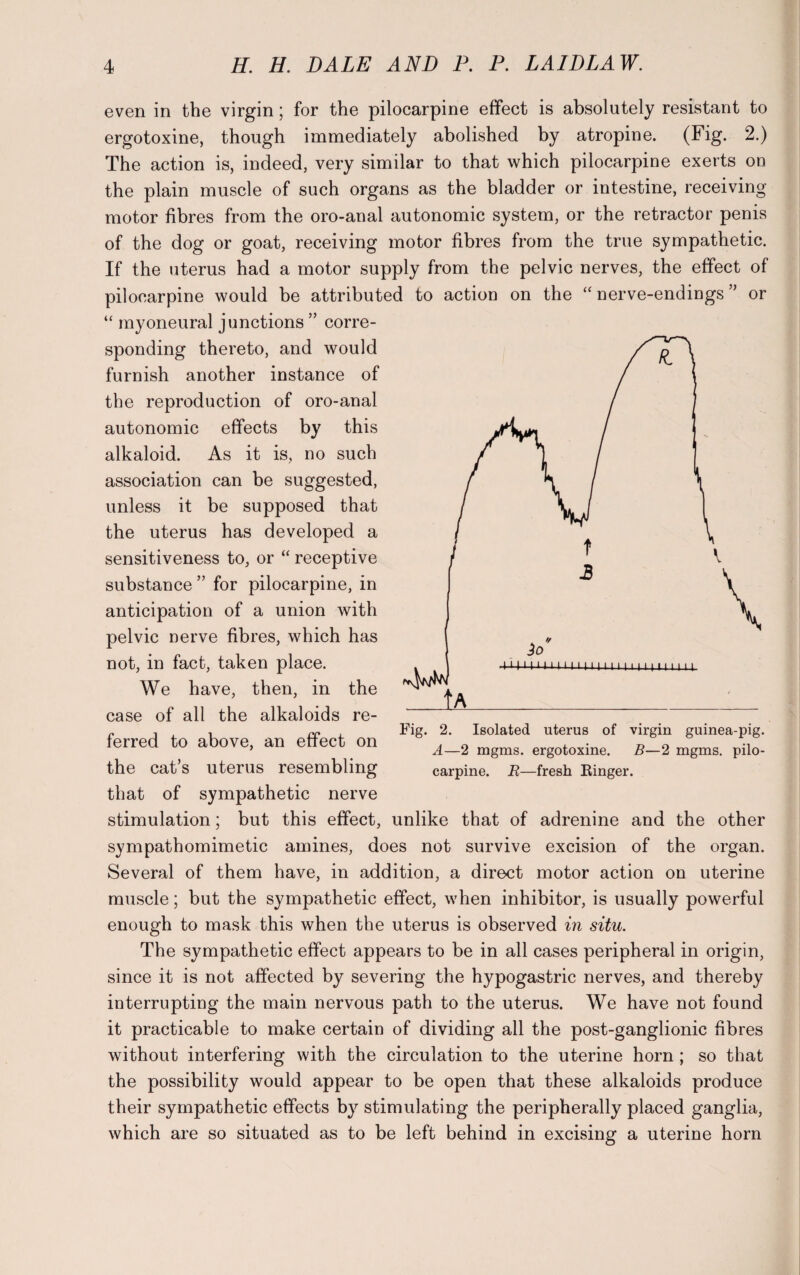 even in the virgin; for the pilocarpine effect is absolutely resistant to ergotoxine, though immediately abolished by atropine. (Fig. 2.) The action is, indeed, very similar to that which pilocarpine exerts on the plain muscle of such organs as the bladder or intestine, receiving motor fibres from the oro-anal autonomic system, or the retractor penis of the dog or goat, receiving motor fibres from the true sympathetic. If the uterus had a motor supply from the pelvic nerves, the effect of pilocarpine would be attributed to action on the “ nerve-endings ” or “ myoneural junctions ” corre¬ sponding thereto, and would furnish another instance of the reproduction of oro-anal autonomic effects by this alkaloid. As it is, no such association can be suggested, unless it be supposed that the uterus has developed a sensitiveness to, or “ receptive substance ” for pilocarpine, in anticipation of a union with pelvic nerve fibres, which has not, in fact, taken place. We have, then, in the case of all the alkaloids re¬ ferred to above, an effect on the cat’s uterus resembling that of sympathetic nerve stimulation; but this effect, unlike that of adrenine and the other sympathomimetic amines, does not survive excision of the organ. Several of them have, in addition, a direct motor action on uterine muscle; but the sympathetic effect, when inhibitor, is usually powerful enough to mask this when the uterus is observed in situ. The sj^mpathetic effect appears to be in all cases peripheral in origin, since it is not affected by severing the hypogastric nerves, and thereby interrupting the main nervous path to the uterus. We have not found it practicable to make certain of dividing all the post-ganglionic fibres without interfering with the circulation to the uterine horn ; so that the possibility would appear to be open that these alkaloids produce their sympathetic effects by stimulating the peripherally placed ganglia, which are so situated as to be left behind in excising a uterine horn carpine. R—fresh Kinger.