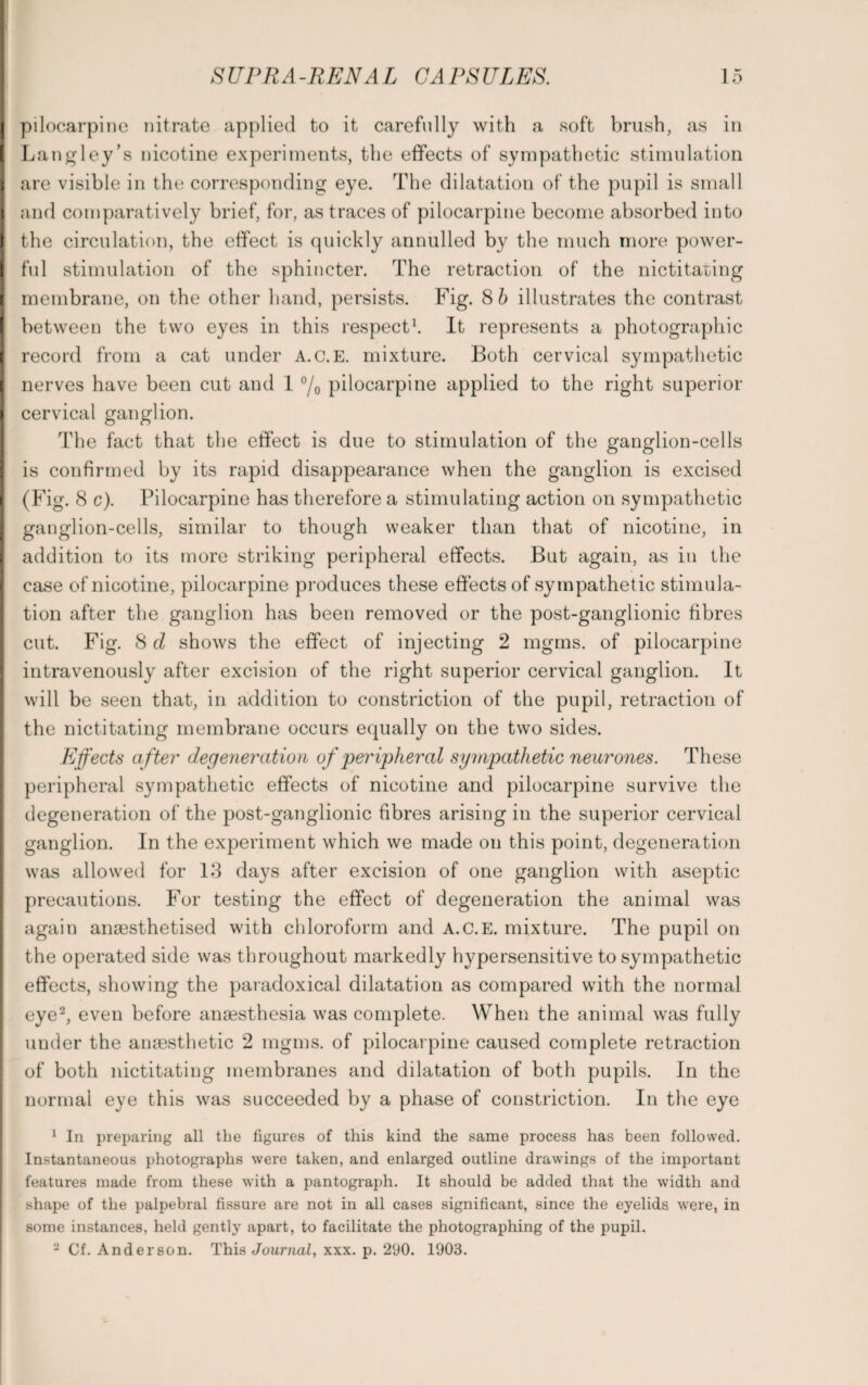 pilocarpine nitrate applied to it carefully with a soft brush, as in Langley’s nicotine experiments, the effects of sympathetic stimulation are visible in the corresponding eye. The dilatation of the pupil is small and comparatively brief, for, as traces of pilocarpine become absorbed into the circulation, the effect is quickly annulled by the much more power¬ ful stimulation of the sphincter. The retraction of the nictitating membrane, on the other hand, persists. Fig. 8 b illustrates the contrast between the two eyes in this respect1. It represents a photographic record from a cat under A.c.E. mixture. Both cervical sympathetic nerves have been cut and 1 °/o pilocarpine applied to the right superior cervical ganglion. The fact that the effect is due to stimulation of the ganglion-cells is confirmed by its rapid disappearance when the ganglion is excised (Fig. 8 c). Pilocarpine has therefore a stimulating action on sympathetic ganglion-cells, similar to though weaker than that of nicotine, in addition to its more striking peripheral effects. But again, as in the case of nicotine, pilocarpine produces these effects of sympathetic stimula¬ tion after the ganglion has been removed or the post-ganglionic fibres cut. Fig. 8 d shows the effect of injecting 2 mgms. of pilocarpine intravenously after excision of the right superior cervical ganglion. It will be seen that, in addition to constriction of the pupil, retraction of the nictitating membrane occurs equally on the two sides. Effects after degeneration of peripheral sympathetic nenrones. These peripheral sympathetic effects of nicotine and pilocarpine survive the degeneration of the post-ganglionic fibres arising in the superior cervical ganglion. In the experiment which we made on this point, degeneration was allowed for 13 days after excision of one ganglion with aseptic precautions. For testing the effect of degeneration the animal was again anaesthetised with chloroform and A.C.E. mixture. The pupil on the operated side was throughout markedly hypersensitive to sympathetic effects, showing the paradoxical dilatation as compared with the normal eye2, even before anaesthesia was complete. When the animal was fully under the anaesthetic 2 mgms. of pilocarpine caused complete retraction of both nictitating membranes and dilatation of both pupils. In the normal eye this was succeeded by a phase of constriction. In the eye 1 In preparing all the figures of this kind the same process has been followed. Instantaneous photographs were taken, and enlarged outline drawings of the important features made from these with a pantograph. It should be added that the width and shape of the palpebral fissure are not in all cases significant, since the eyelids were, in some instances, held gently apart, to facilitate the photographing of the pupil. 2 Cf. Anderson. This Journal, xxx. p. 290. 1903.