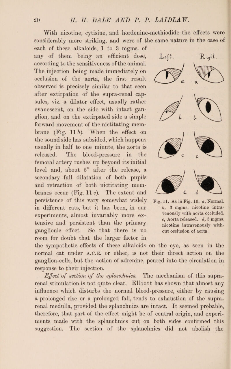 With nicotine, cytisine, and hordenine-methiodide the effects were considerably more striking, and were of the same nature in the case of each of these alkaloids, 1 to 3 mgms. of any of them being an efficient dose, according to the sensitiveness of the animal. The injection being made immediately on occlusion of the aorta, the first result observed is precisely similar to that seen after extirpation of the supra-renal cap¬ sules, viz. a dilator effect, usually rather evanescent, on the side with intact gan¬ glion, and on the extirpated side a simple forward movement of the nictitating mem¬ brane (Fig. 11 b). When the effect on the sound side has subsided, which happens usually in half to one minute, the aorta is released. The blood-pressure in the femoral artery rushes up beyond its initial level and, about 5 after the release, a secondary full dilatation of both pupils and retraction of both nictitating mem¬ branes occur (Fig. 11 c). The extent and persistence of this vary somewhat widely in different cats, but it has been, in our experiments, almost invariably more ex¬ tensive and persistent than the primary ganglionic effect. So that there is no room for doubt that the larger factor in the sympathetic effects of these alkaloids on the eye, as seen in the normal cat under A.C.E. or ether, is not their direct action on the ganglion-cells, but the action of adrenine, poured into the circulation in response to their injection. Effect of section of the splanchnics. The mechanism of this supra¬ renal stimulation is not quite clear. Elliott has shown that almost any influence which disturbs the normal blood-pressure, either by causing a prolonged rise or a prolonged fall, tends to exhaustion of the supra¬ renal medulla, provided the splanchnics are intact. It seemed probable, therefore, that part of the effect might be of central origin, and experi¬ ments made with the splanchnics cut on both sides confirmed this suggestion. The section of the splanchnics did not abolish the Xejt. • Fig. 11. As in Fig. 10. a, Normal. b, 3 mgms. nicotine intra¬ venously with aorta occluded. c, Aorta released, cl, 3 mgms. nicotine intravenously with¬ out occlusion of aorta.