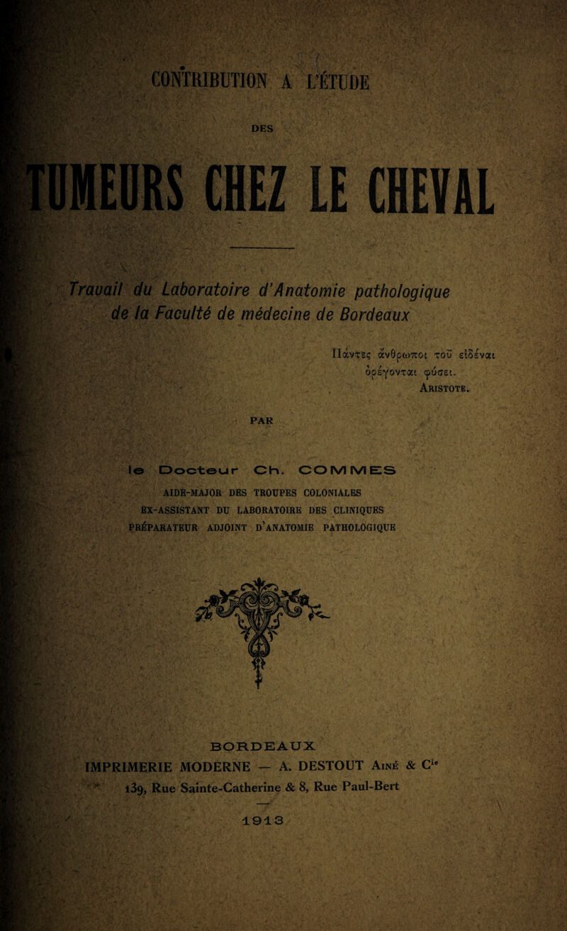 CONTRIBUTION A L’ÉTUDE • ■ . • • • ^ > t <. y S • V , . > . ■ ^ ' S . , \ • t • I* DES HEIIRS CHEZ LE CHEVAL Travail du Laboratoire d'Anatomie pathologique de la Faculté de médecine de Bordeaux HàvTSÇ àv6p(i)7TOL TOU slSsvat OpSYOVTat cpü(7£l. Aristote. ; - PAR le Docteur Oh. OOIVIIVIEIS AIDE-MAJOR DES TROUPES COLONIALES EX-ASSISTANT DU LABORATOIRE DES CLINIQUES PRÉPARATEUR ADJOINT D’ANATOMIE PATHOLOGIQUE ',ï BORDEAUX IMPRIMERIE MODERNE — A. DESTOUT Aîné & Cie 139, Rue Sainte-Catherine & 8, Rue Paul-Bert 1913