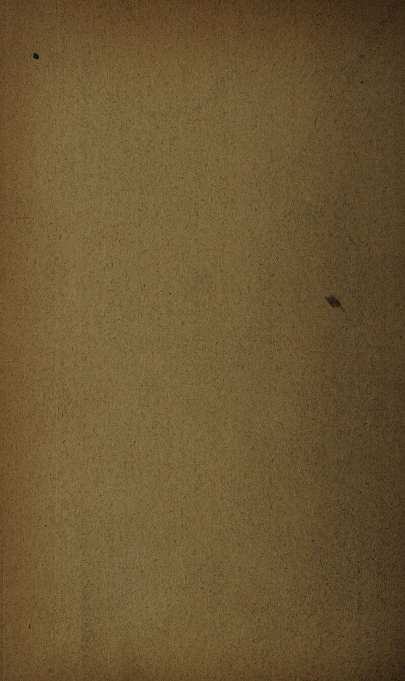 < • < . ' ’ ; •:• '■ ■ *î' ■ ■ ' - .Y ■' t1  1 ■ X • , V •*■ ■ V/ ' Xÿ- ; . * • ' » >. .• ' Y ■ . r , ' '■ %■ ■ ' ' . : ' • . *’ iv/^V'Vv ‘ b i * *3w XU11VTV- tvj * ’ V ■ . * ‘«V ' ,w/ » , j . : ■ !'*V ,< 7 j 7 ' . 1 - ■ ' ■ ''Y' ' . - . ■ - . v*V; v '■ <> '* . • ’*■ *' . • -- 'V- ■ ',$ K .V >■•**/* 'Z*!'1 r - . ; ,,y ,yy yy y y, •. vy •; > T , ,, y, ■ yv;,,-y Yy . r • f ■•* r . : J r **■ V \f * N •: W-> ? ,-■•>■■■ V v;.,;>. '‘w-'V-y yy*. ■■ -y '-.. y y*, vy.1--1 •\ y ■. /. ■ • - y ; . • ■ ■' < •. / < • . 4 l • •' , \ Î y l.;- ;• v'.t • ' y '- y/-- il l: • • - y. » tf >•. - /•- 'K,---/ . '• .. ' • ' »/ , V ' y. !• ^ - - ■ * ' ' • ^.v ,♦* , y y ;ii -jf. r*'i - • • _ • , • ■ - ■ i.. , . •-•.*• . -J. • '.jjii - ■ ■ ’-x ,j'v Y' ' ■ . y- y ... . »..i; -, ; ; ■y./--y -y , .-y .y y y. '•• y- .y ■ Y'.‘ t '.y-. -, . - ■ r* i-y . V .  ' ■/ • ■ r w . * . y • '• • s£\, y. , <:V,y vy ' .-.y'' •• .5. r Y.i-,,.;Y , ■ , •• ■ r :y • ' Y / -Y • • , ' '• ' ■  ' >• ^ V - y y‘..'yy!' . -Y <• > y.. - y- y r t y, y/,.-'.. >’ yV •* ’ • . • - ■ ' - >. ■ J ... - • . 1- - 7, .■ ' '.y < ’/ > Y : .... Y ' . •' -A, >. , ‘ y . ,;-.y - y, : ' y 7. y. v :- ? y.-, .. •, > . ,y V ' ■ - .... . J • A . , ! ■ > y j Y Y ’ Y y Yy 'y y. y- .y -• '.y .-.; , ^y'y' ; •* -Y ' ■ -■'■,■[ T A Y v,;- ' • ' . v . ' . ; '■•■■■ , , 1 ■ * . . ' ' - % jîf y ■ /?