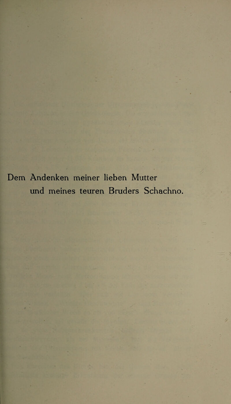 Dem Andenken meiner lieben Mutter und meines teuren Bruders Schachno.