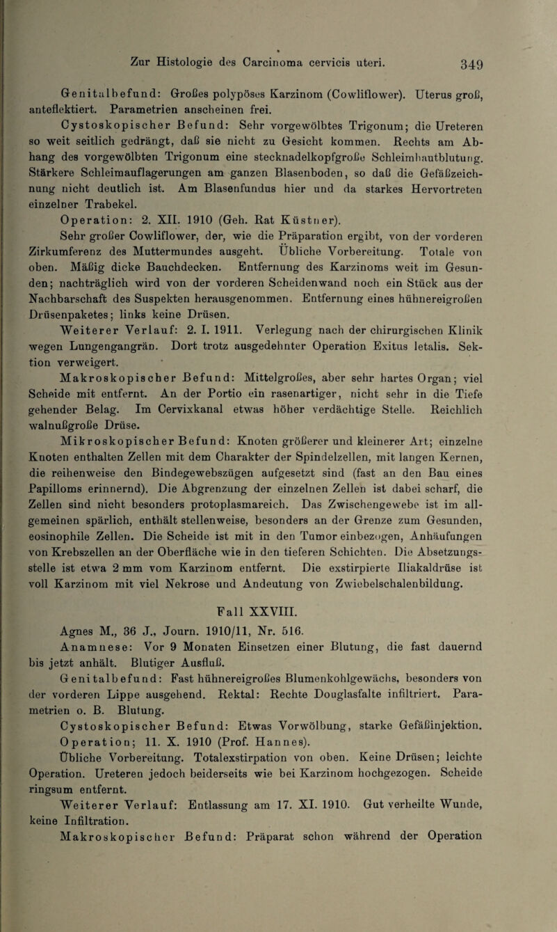 Genitulhefund: Großes polypöses Karzinom (Cowliflower). Uterus groß, anteflektiert. Parametrien anscheinen frei. Cystoskopischer Befund: Sehr vorgewölbtes Trigonum; die Ureteren so weit seitlich gedrängt, daß sie nicht zu Gesicht kommen. Rechts am Ab¬ hang des vorgewölbten Trigonum eine stecknadelkopfgroße Schleimhautblutung. Stärkere Schleimauflagerungen am ganzen Blasenboden, so daß die Gefäßzeich¬ nung nicht deutlich ist. Am Blasenfundus hier und da starkes Hervortreten einzelner Trabekel. Operation: 2. XII. 1910 (Geh. Rat Küstner). Sehr großer Cowliflower, der, wie die Präparation ergibt, von der vorderen Zirkumferenz des Muttermundes ausgeht. Übliche Vorbereitung. Totale von oben. Mäßig dicke Bauchdecken. Entfernung des Karzinoms weit im Gesun¬ den; nachträglich wird von der vorderen Scheiden wand noch ein Stück aus der Nachbarschaft des Suspekten herausgenommen. Entfernung eines hühnereigroßen Drüsenpaketes; links keine Drüsen. Weiterer Verlauf: 2. I. 1911. Verlegung nach der chirurgischen Klinik wegen LungengangräD. Dort trotz ausgedehnter Operation Exitus letalis. Sek¬ tion verweigert. Makroskopischer Befund: Mittelgroßes, aber sehr hartes Organ; viel Scheide mit entfernt. An der Portio ein rasenartiger, nicht sehr in die Tiefe gehender Belag. Im Cervixkanal etwas höher verdächtige Stelle. Reichlich walnußgroße Drüse. Mikroskopischer Befund: Knoten größerer und kleinerer Art; einzelne Knoten enthalten Zellen mit dem Charakter der Spindelzellen, mit langen Kernen, die reihenweise den Bindegewebszügen aufgesetzt sind (fast an den Bau eines Papilloms erinnernd). Die Abgrenzung der einzelnen Zellen ist dabei scharf, die Zellen sind nicht besonders protoplasmareich. Das Zwischengewebe ist im all¬ gemeinen spärlich, enthält stellenweise, besonders an der Grenze zum Gesunden, eosinophile Zellen. Die Scheide ist mit in den Tumor einbezogen, Anhäufungen von Krebszellen an der Oberfläche wie in den tieferen Schichten. Die Absetzungs¬ stelle ist etwa 2 mm vom Karzinom entfernt. Die exstirpierte Uiakaldrüse ist voll Karzinom mit viel Nekrose und Andeutung von Zwiebelschalenbildung. Fall XXVIII. Agnes M., 36 J„ Journ. 1910/11, Nr. 516. Anamnese: Vor 9 Monaten Einsetzen einer Blutung, die fast dauernd bis jetzt anhält. Blutiger Ausfluß. Genitalbefund: Fast hühnereigroßes Blumenkohlgewächs, besonders von der vorderen Lippe ausgehend. Rektal: Rechte Douglasfalte infiltriert. Para¬ metrien o. B. Blutung. Cystoskopischer Befund: Etwas Vorwölbung, starke Gefäßinjektion. Operation; 11. X. 1910 (Prof. Hannes). Übliche Vorbereitung. Totalexstirpation von oben. Keine Drüsen; leichte Operation. Ureteren jedoch beiderseits wie bei Karzinom hochgezogen. Scheide ringsum entfernt. Weiterer Verlauf: Entlassung am 17. XI. 1910. Gut verheilte Wunde, keine Infiltration. Makroskopischer Befund: Präparat schon während der Operation