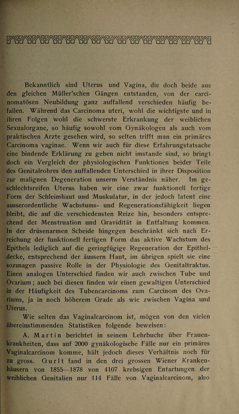 Bekanntlich sind Uterus und Vagina, die doch beide aus den gleichen Müller’sch'en Gängen entstanden, von der carci- nomatösen Neubildung ganz auffallend verschieden häufig be¬ fallen. Während das Carcinoma uteri, wohl die wichtigste und in ihren Folgen wohl die schwerste Erkrankung der weiblichen Sexualorgane, so häufig sowohl vom Gynäkologen als auch vom praktischen Arzte gesehen wird, so selten trifft man ein primäres Carcinoma vaginae. Wenn wir auch für diese Erfahrungstatsache eine bindende Erklärung zu geben nicht imstande sind, so bringt doch ein Vergleich der physiologischen Funktionen beider Teile des Genitalrohres den auffallenden Unterschied in ihrer Disposition zur malignen Degeneration unserm Verständnis näher. Im ge- schlechtsreifen Uterus haben wir eine zwar funktionell fertige Form der Schleimhaut und Muskulatur, in der jedoch latent eine ausserordentliche Wachstums- und Regenerationsfähigkeit liegen bleibt, die auf die verschiedensten Reize hin, besonders entspre¬ chend der. Menstruation und Gravidität in Entfaltung kommen. In der drüsenarmen Scheide hingegen beschränkt sich nach Er¬ reichung der funktionell fertigen Form das aktive Wachstum des Epithels lediglich auf die geringfügige Regeneration der Epithel¬ decke, entsprechend der äussern Haut, im übrigen spielt sie eine sozusagen passive Rolle in der Physiologie des Genitaltraktus. Einen analogen Unterschied finden wir auch zwischen Tube und Ovarium; auch bei diesen finden wir einen gewaltigen Unterschied in der Häufigkeit des Tubencarcinoms zum Carcinom des Ova- riums, ja in noch höherem Grade als wie zwischen Vagina und Uterus. Wie selten das Vaginalcarcinom ist, mögen von den vielen übereinstimmenden Statistiken folgende beweisen: A. Martin berichtet in seinem Lehrbuche über Frauen¬ krankheiten, dass auf 2000 gynäkologische Fälle nur ein primäres Vaginalcarcinom komme, hält jedoch dieses Verhältnis noch für zu gross. Gurlt fand in den drei grossen Wiener Kranken¬ häusern von 1855—1878 von 4107 krebsigen Entartungen der weiblichen Genitalien nur 114 Fälle von Vaginalcarcinom, also
