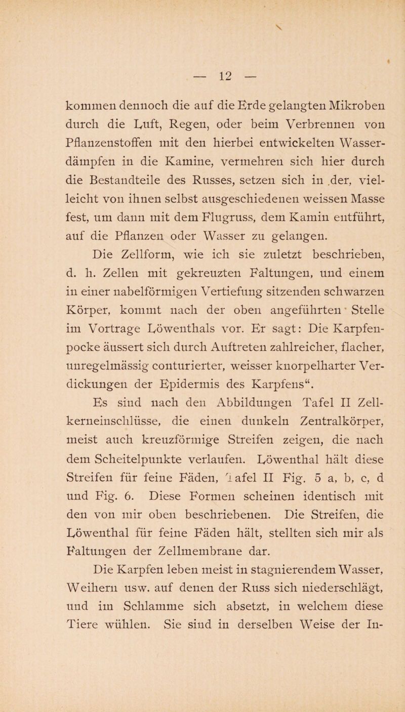 kommen dennoch die auf die Erde gelangten Mikroben durch die Euft, Regen, oder beim Verbrennen von Pflanzenstoffen mit den hierbei entwickelten Wasser¬ dämpfen in die Kamine, vermehren sich hier durch die Bestandteile des Russes, setzen sich in der, viel¬ leicht von ihnen selbst ausgeschiedenen weissen Masse fest, um dann mit dem Flugruss, dem Kamin entführt, auf die Pflanzen oder Wasser zu gelangen. Die Zellform, wie ich sie zuletzt beschrieben, d. h. Zellen mit gekreuzten Faltungen, und einem in einer nabelförmigen Vertiefung sitzenden schwarzen Körper, kommt nach der oben angeführten ’ Stelle im Vortrage Eöwenthals vor. Er sagt: Die Karpfen¬ pocke äussert sich durch Auftreten zahlreicher, flacher, unregelmässig conturierter, weisser knorpelharter Ver¬ dickungen der Epidermis des Karpfens“. Es sind nach den Abbildungen Tafel II Zell¬ kerneinschlüsse, die einen dunkeln Zentralkörper, meist auch kreuzförmige Streifen zeigen, die nach dem Scheitelpunkte verlaufen. Eöwenthal hält diese Streifen für feine Fäden, lafel II Fig. 5 a, b, c, d und Fig. 6. Diese Formen scheinen identisch mit den von mir oben beschriebenen. Die Streifen, die Eöwenthal für feine Fäden hält, stellten sich mir als Faltungen der Zellmembrane dar. Die Karpfen leben meist in stagnierendem Wasser, Weihern usw. auf denen der Russ sich niederschlägt, und im Schlamme sich absetzt, in welchem diese Tiere wühlen. Sie sind in derselben Weise der In-