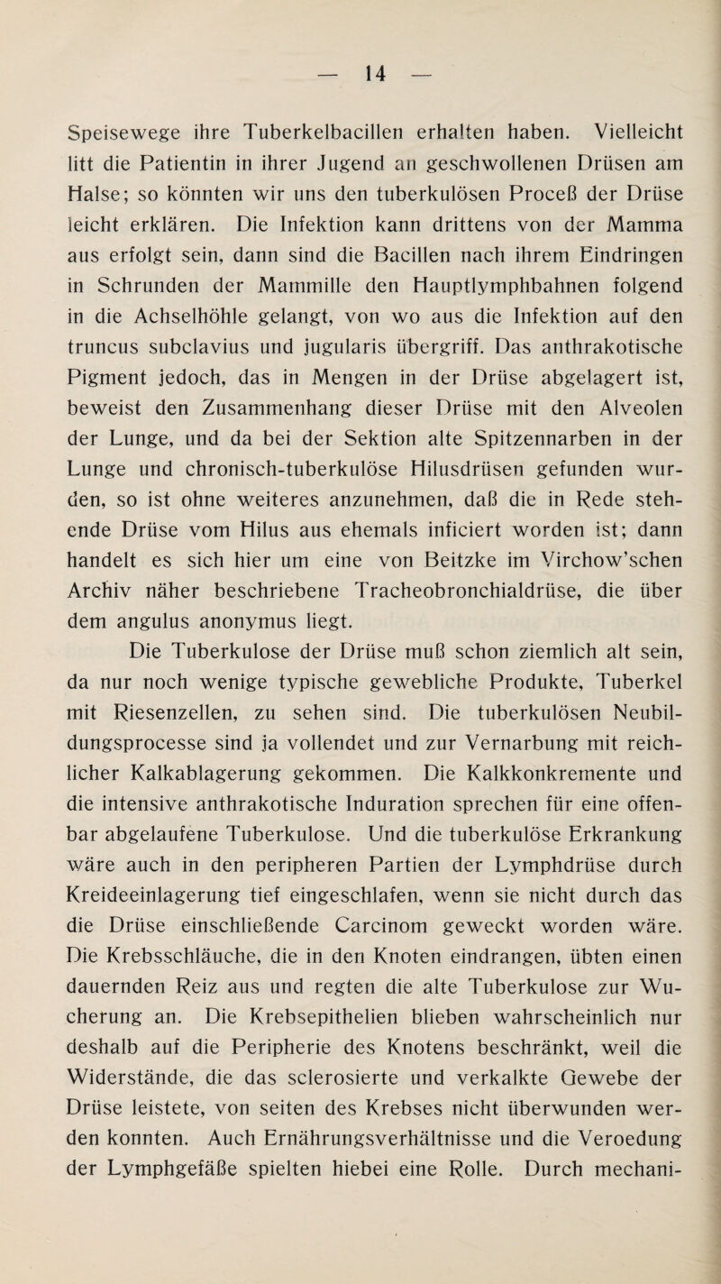 Speisewege ihre Tuberkelbacillen erhalten haben. Vielleicht litt die Patientin in ihrer Jugend an geschwollenen Drüsen am Halse; so könnten wir uns den tuberkulösen Proceß der Drüse leicht erklären. Die Infektion kann drittens von der Mamma aus erfolgt sein, dann sind die Bacillen nach ihrem Eindringen in Schrunden der Mammille den Hauptlymphbahnen folgend in die Achselhöhle gelangt, von wo aus die Infektion auf den truncus subclavius und jugularis Übergriff. Das anthrakotische Pigment jedoch, das in Mengen in der Drüse abgelagert ist, beweist den Zusammenhang dieser Drüse mit den Alveolen der Lunge, und da bei der Sektion alte Spitzennarben in der Lunge und chronisch-tuberkulöse Hilusdrüsen gefunden wur¬ den, so ist ohne weiteres anzunehmen, daß die in Rede steh¬ ende Drüse vom Hilus aus ehemals inficiert worden ist; dann handelt es sich hier um eine von Beitzke im Virchow’schen Archiv näher beschriebene Tracheobronchialdrüse, die über dem angulus anonymus liegt. Die Tuberkulose der Drüse muß schon ziemlich alt sein, da nur noch wenige typische gewebliche Produkte, Tuberkel mit Riesenzellen, zu sehen sind. Die tuberkulösen Neubil- dungsprocesse sind ja vollendet und zur Vernarbung mit reich¬ licher Kalkablagerung gekommen. Die Kalkkonkremente und die intensive anthrakotische Induration sprechen für eine offen¬ bar abgelaufene Tuberkulose. Und die tuberkulöse Erkrankung wäre auch in den peripheren Partien der Lymphdrüse durch Kreideeinlagerung tief eingeschlafen, wenn sie nicht durch das die Drüse einschließende Carcinom geweckt worden wäre. Die Krebsschläuche, die in den Knoten eindrangen, übten einen dauernden Reiz aus und regten die alte Tuberkulose zur Wu¬ cherung an. Die Krebsepithelien blieben wahrscheinlich nur deshalb auf die Peripherie des Knotens beschränkt, weil die Widerstände, die das sclerosierte und verkalkte Gewebe der Drüse leistete, von seiten des Krebses nicht überwunden wer¬ den konnten. Auch Ernährungsverhältnisse und die Veroedung der Lymphgefäße spielten hiebei eine Rolle. Durch mechani-