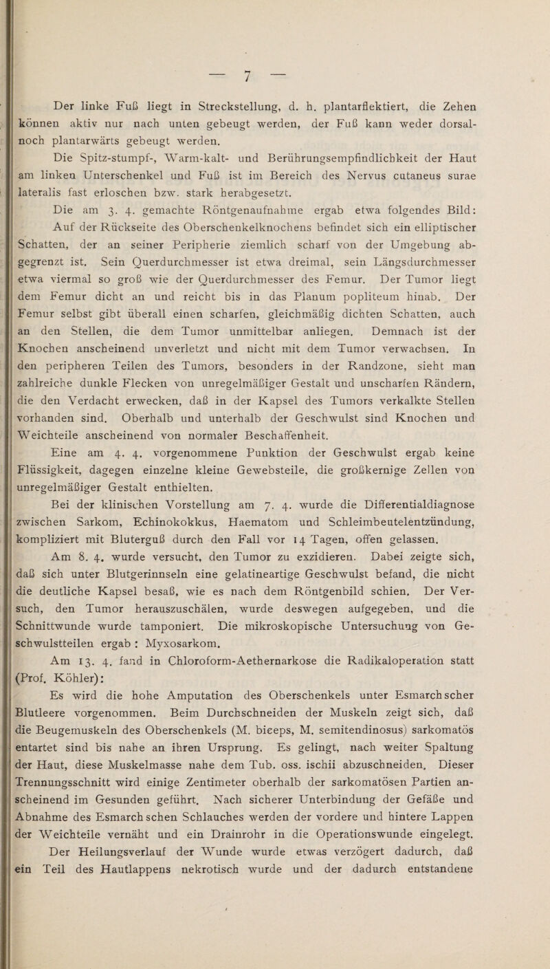 Der linke Fuß liegt in Streckstellung, d. h. plantarflektiert, die Zehen können aktiv nur nach unten gebeugt werden, der Fuß kann weder dorsal- noch plantarwärts gebeugt werden. Die Spitz-stumpf-, Warm-kalt- und Berührungsempfindlichkeit der Haut am linken Unterschenkel und Fuß ist im Bereich des Nervus cutaneus surae lateralis fast erloschen bzw. stark herabgesetzt. Die am 3. 4. gemachte Röntgenaufnahme ergab etwa folgendes Bild: Auf der Rückseite des Oberschenkelknochens befindet sich ein elliptischer Schatten, der an seiner Peripherie ziemlich scharf von der Umgebung ab¬ gegrenzt ist. Sein Querdurchmesser ist etwa dreimal, sein Längsdurchmesser etwa viermal so groß wie der Querdurchmesser des Femur. Der Tumor liegt ; dem Femur dicht an und reicht bis in das Planum popliteum hinab. Der Femur selbst gibt überall einen scharfen, gleichmäßig dichten Schatten, auch an den Stellen, die dem Tumor unmittelbar anliegen. Demnach ist der Knochen anscheinend unverletzt und nicht mit dem Tumor verwachsen. In den peripheren Teilen des Tumors, besonders in der Randzone, sieht man zahlreiche dunkle Flecken von unregelmäßiger Gestalt und unscharfen Rändern, : die den Verdacht erwecken, daß in der Kapsel des Tumors verkalkte Stellen vorhanden sind. Oberhalb und unterhalb der Geschwulst sind Knochen und Weichteile anscheinend von normaler Beschaffenheit. Eine am 4. 4. vorgenommene Punktion der Geschwulst ergab keine Flüssigkeit, dagegen einzelne kleine Gewebsteile, die großkernige Zellen von unregelmäßiger Gestalt enthielten. Bei der klinischen Vorstellung am 7. 4. wurde die Differentialdiagnose zwischen Sarkom, Echinokokkus, Haematom und Schleimbeutelentzündung, kompliziert mit Bluterguß durch den Fall vor 14 Tagen, offen gelassen. Am 8. 4. wurde versucht, den Tumor zu exzidieren. Dabei zeigte sich, daß sich unter Blutgerinnseln eine gelatineartige Geschwulst befand, die nicht die deutliche Kapsel besaß, wie es nach dem Röntgenbild schien. Der Ver¬ such, den Tumor herauszuschälen, wurde deswegen aufgegeben, und die Schnittwunde wurde tamponiert. Die mikroskopische Untersuchung von Ge¬ schwulstteilen ergab : Myxosarkom. Am 13. 4. fand in Chloroform-Aethernarkose die Radikaloperation statt (Prof. Köhler): Es wird die hohe Amputation des Oberschenkels unter Esmarch scher Blutleere vorgenommen. Beim Durchschneiden der Muskeln zeigt sich, daß die Beugemuskeln des Oberschenkels (M. bieeps, M. semitendinosus) sarkomatös entartet sind bis nahe an ihren Ursprung. Es gelingt, nach weiter Spaltung  der Haut, diese Muskelmasse nahe dem Tub. oss. ischii abzuschneiden. Dieser Trennungsschnitt wird einige Zentimeter oberhalb der sarkomatösen Partien an¬ scheinend im Gesunden geführt. Nach sicherer Unterbindung der Gefäße und Abnahme des Esmarch sehen Schlauches werden der vordere und hintere Lappen der Weichteile vernäht und ein Drainrohr in die Operationswunde eingelegt. Der Heilungsverlauf der Wunde wurde etwas verzögert dadurch, daß ein Teil des Hautlappens nekrotisch wurde und der dadurch entstandene ■