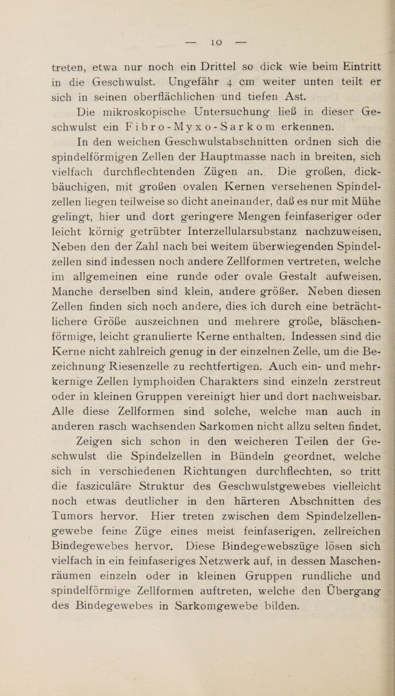 IO treten, etwa nur noch ein Drittel so dick wie beim Eintritt in die Geschwulst. Ungefähr 4 cm weiter unten teilt er sich in seinen oberflächlichen und tiefen Ast. Die mikroskopische Untersuchung ließ in dieser Ge¬ schwulst ein Fibro-Myxo-Sarkom erkennen. In den weichen Geschwulstabschnitten ordnen sich die spindelförmigen Zellen der Hauptmasse nach in breiten, sich vielfach durchflechtenden Zügen an.. Die großen, dick¬ bäuchigen, mit großen ovalen Kernen versehenen Spindel¬ zellen liegen teilweise so dicht aneinander, daß es nur mit Mühe gelingt, hier und dort geringere Mengen feinfaseriger oder leicht körnig getrübter Interzellularsubstanz nachzuweisen. Neben den der Zahl nach bei weitem überwiegenden Spindel¬ zellen sind indessen noch andere Zellformen vertreten, welche im allgemeinen eine runde oder ovale Gestalt aufweisen. Manche derselben sind klein, andere größer. Neben diesen Zellen finden sich noch andere, dies ich durch eine beträcht¬ lichere Größe auszeichnen und mehrere große, bläschen¬ förmige, leicht granulierte Kerne enthalten. Indessen sind die Kerne nicht zahlreich genug in der einzelnen Zelle, um die Be¬ zeichnung Riesenzelle zu rechtfertigen. Auch ein- und mehr¬ kernige Zellen lymphoiden Charakters sind einzeln zerstreut oder in kleinen Gruppen vereinigt hier und dort nachweisbar. Alle diese Zellformen sind solche, welche man auch in anderen rasch wachsenden Sarkomen nicht allzu selten findet. Zeigen sich schon in den weicheren Teilen der Ge¬ schwulst die Spindelzellen in Bündeln geordnet, welche sich in verschiedenen Richtungen durchflechten, so tritt die fasziculäre Struktur des Geschwulstgewebes vielleicht noch etwas deutlicher in den härteren Abschnitten des Tumors hervor. Hier treten zwischen dem Spindelzellen¬ gewebe feine Züg'e eines meist feinfaserigen, zellreichen Bindegewebes hervor. Diese Bindeg'ewebszüge lösen sich vielfach in ein feinfaseriges Netzwerk auf, in dessen Maschen¬ räumen einzeln oder in kleinen Gruppen rundliche und spindelförmige Zellformen auftreten, welche den Übergang des Bindegewebes in Sarkomgewebe bilden.
