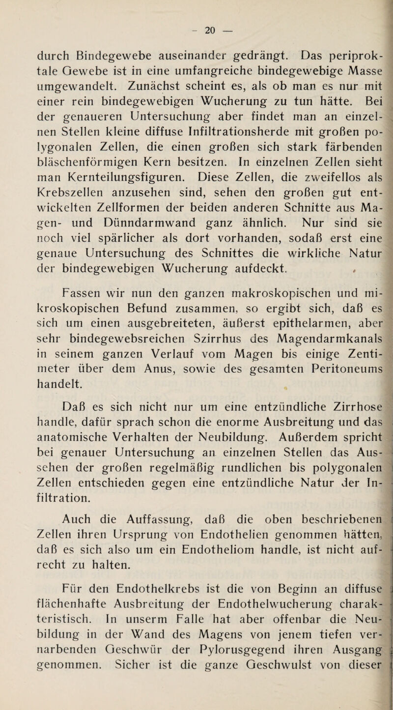 durch Bindegewebe auseinander gedrängt. Das periprok- tale Gewebe ist in eine umfangreiche bindegewebige Masse umgewandelt. Zunächst scheint es, als ob man es nur mit einer rein bindegewebigen Wucherung zu tun hätte. Bei der genaueren Untersuchung aber findet man an einzel¬ nen Stellen kleine diffuse Infiltrationsherde mit großen po¬ lygonalen Zellen, die einen großen sich stark färbenden bläschenförmigen Kern besitzen. In einzelnen Zellen sieht man Kernteilungsfiguren. Diese Zellen, die zweifellos als Krebszellen anzusehen sind, sehen den großen gut ent¬ wickelten Zellformen der beiden anderen Schnitte aus Ma¬ gen- und Dünndarmwand ganz ähnlich. Nur sind sie noch viel spärlicher als dort vorhanden, sodaß erst eine genaue Untersuchung des Schnittes die wirkliche Natur der bindegewebigen Wucherung aufdeckt. Fassen wir nun den ganzen makroskopischen und mi¬ kroskopischen Befund zusammen, so ergibt sich, daß es sich um einen ausgebreiteten, äußerst epithelarmen, aber sehr bindegewebsreichen Szirrhus des Magendarmkanals in seinem ganzen Verlauf vom Magen bis einige Zenti¬ meter über dem Anus, sowie des gesamten Peritoneums handelt. Daß es sich nicht nur um eine entzündliche Zirrhose handle, dafür sprach schon die enorme Ausbreitung und das anatomische Verhalten der Neubildung. Außerdem spricht bei genauer Untersuchung an einzelnen Stellen das Aus¬ sehen der großen regelmäßig rundlichen bis polygonalen Zellen entschieden gegen eine entzündliche Natur der In¬ filtration. 1 Auch die Auffassung, daß die oben beschriebenen Zellen ihren Ursprung von Endothelien genommen hätten, daß es sich also um ein Endotheliom handle, ist nicht auf¬ recht zu halten. Für den Endothelkrebs ist die von Beginn an diffuse flächenhafte Ausbreitung der Endothelwucherung charak¬ teristisch. In unserm Falle hat aber offenbar die Neu¬ bildung in der Wand des Magens von jenem tiefen ver¬ narbenden Geschwür der Pylorusgegend ihren Ausgang genommen. Sicher ist die ganze Geschwulst von dieser