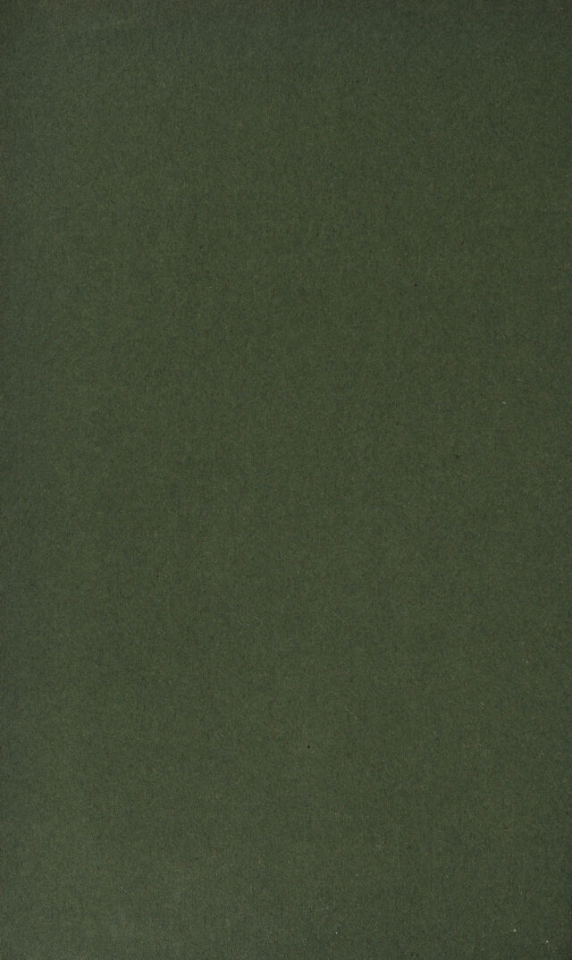 digitised image 2