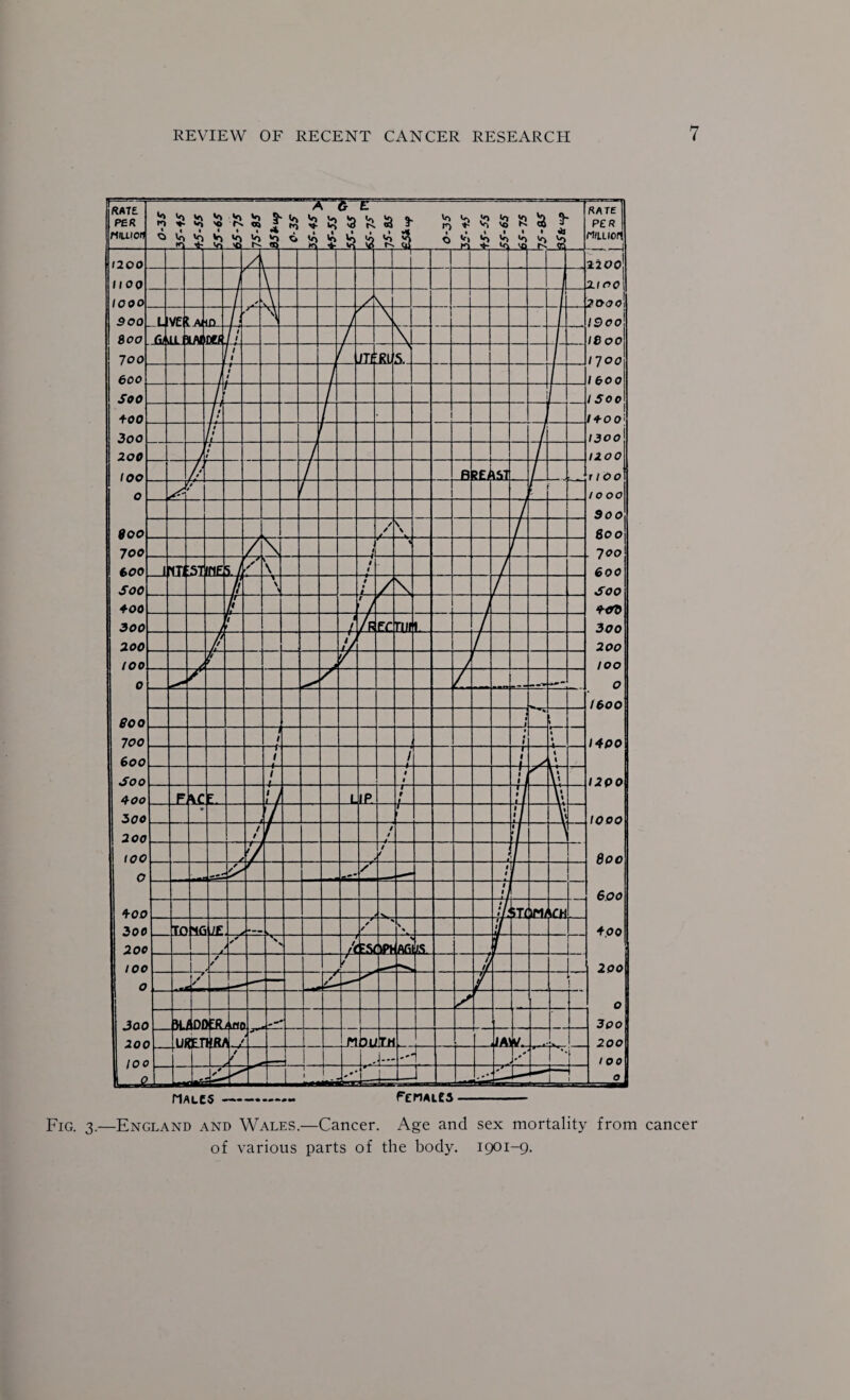 Fig. 3.—England and Wales.—Cancer. Age and sex mortality from cancer of various parts of the body. 1901-9.