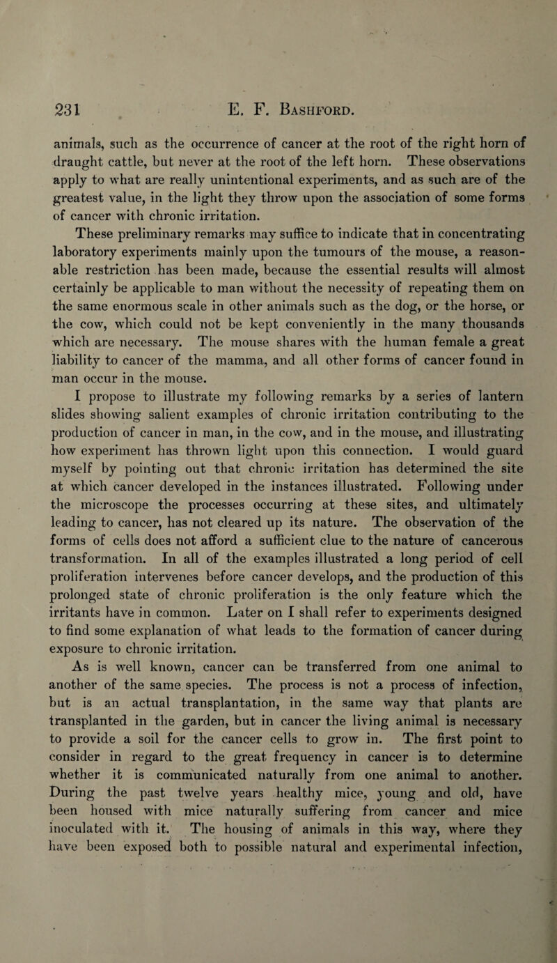 animals, such as the occurrence of cancer at the root of the right horn of draught cattle, but never at the root of the left horn. These observations apply to what are really unintentional experiments, and as such are of the greatest value, in the light they throw upon the association of some forms of cancer with chronic irritation. These preliminary remarks may suffice to indicate that in concentrating laboratory experiments mainly upon the tumours of the mouse, a reason¬ able restriction has been made, because the essential results will almost certainly be applicable to man without the necessity of repeating them on the same enormous scale in other animals such as the dog, or the horse, or the cow, which could not be kept conveniently in the many thousands which are necessary. The mouse shares with the human female a great liability to cancer of the mamma, and all other forms of cancer found in man occur in the mouse. I propose to illustrate my following remarks by a series of lantern slides showing salient examples of chronic irritation contributing to the production of cancer in man, in the cow, and in the mouse, and illustrating how experiment has thrown light upon this connection. I would guard myself by pointing out that chronic irritation has determined the site at which cancer developed in the instances illustrated. Following under the microscope the processes occurring at these sites, and ultimately leading to cancer, has not cleared up its nature. The observation of the forms of cells does not afford a sufficient clue to the nature of cancerous transformation. In all of the examples illustrated a long period of cell proliferation intervenes before cancer develops, and the production of this prolonged state of chronic proliferation is the only feature which the irritants have in common. Later on I shall refer to experiments designed to find some explanation of what leads to the formation of cancer during exposure to chronic irritation. As is well known, cancer can be transferred from one animal to another of the same species. The process is not a process of infection, but is an actual transplantation, in the same way that plants are transplanted in the garden, but in cancer the living animal is necessary to provide a soil for the cancer cells to grow in. The first point to consider in regard to the great frequency in cancer is to determine whether it is communicated naturally from one animal to another. During the past twelve years healthy mice, young and old, have been housed with mice naturally suffering from cancer and mice inoculated with it. The housing of animals in this way, where they have been exposed both to possible natural and experimental infection,