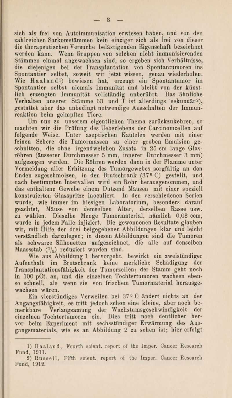 sich als frei von Autoimmunisation erwiesen haben, und von den zahlreichen Sarkomstämmen kein einziger sich als frei von dieser die therapeutischen Versuche belästigenden Eigenschaft bezeichnet werden kann. Wenn Gruppen von solchen nicht immunisierenden Stämmen einmal angewachsen sind, so ergeben sich Verhältnisse, die diejenigen bei der Transplantation von Spontantumoren ins Spontantier selbst, soweit wir jetzt wissen, genau wiederholen. Wie Haaland1) bewiesen hat, erzeugt ein Spontantumor im Spontantier selbst niemals Immunität und bleibt von der künst¬ lich erzeugten Immunität vollständig unberührt. Das ähnliche Verhalten unserer Stämme 63 und T ist allerdings sekundär2), gestattet aber das unbedingt notwendige Ausschalten der Immun¬ reaktion beim geimpften Tiere. Um nun zu unserem eigentlichen Thema zurückzukehren, so machten wir die Prüfung des Ueberlebens der Carcinomzellen auf folgende Weise. Unter aseptischen Kautelen werden mit einer feinen Schere die Tumormassen zu einer groben Emulsion ge¬ schnitten, die ohne irgendwelchen Zusatz in 25 cm lange Glas¬ röhren (äusserer Durchmesser 5 mm, innerer Durchmesser 3 mm) aufgesogen werden. Die Röhren werden dann in der Flamme unter Vermeidung aller Erhitzung des Tumorgewebes sorgfältig an den Enden zugeschmolzen, in den Brutschrank (37° C) gestellt, und nach bestimmten Intervallen wird ein Rohr herausgenommen, und das enthaltene Gewebe einem Dutzend Mäusen mit einer speziell konstruierten Glasspritze inoculiert. In den verschiedenen Serien wurde, wie immer im hiesigen Laboratorium, besonders darauf geachtet, Mäuse von demselben Alter, derselben Rasse usw. zu wählen. Dieselbe Menge Tumormaterial, nämlich 0,03 ccm, wurde in jedem Falle injiziert. Die gewonnenen Resultate glauben wir, mit Hilfe der drei beigegebenen Abbildungen klar und leicht verständlich darzulegen; in diesen Abbildungen sind die Tumoren als schwarze Silhouetten aufgezeichnet, die alle auf denselben Maassstab (1/5) reduziert worden sind. Wie aus Abbildung 1 hervorgeht, bewirkt ein zweistündiger Aufenthalt im Brutschrank keine merkliche Schädigung der Transplantationsfähigkeit der Tumorzellen; der Stamm geht noch in 100 pCt. an, und die einzelnen Tochtertumoren wachsen eben¬ so schnell, als wenn sie von frischem Tumormaterial herausge¬ wachsen wären. Ein vierstündiges Verweilen bei 37° C ändert nichts an der Angangsfähigkeit, es tritt jedoch schon eine kleine, aber noch be¬ merkbare Verlangsamung der Wachstumsgeschwindigkeit der einzelnen Tochtertumoren ein. Dies tritt noch deutlicher her¬ vor beim Experiment mit sechsstündiger Erwärmung des Aus¬ gangsmaterials, wie es an Abbildung 2 zu sehen ist; hier erfolgt 1) Haaland, Fourth scient. report of the Imper. Cancer Research Fund, 1911. 2) Russell, Fifth scient. report of the Imper. Cancer Research Fund, 1912.