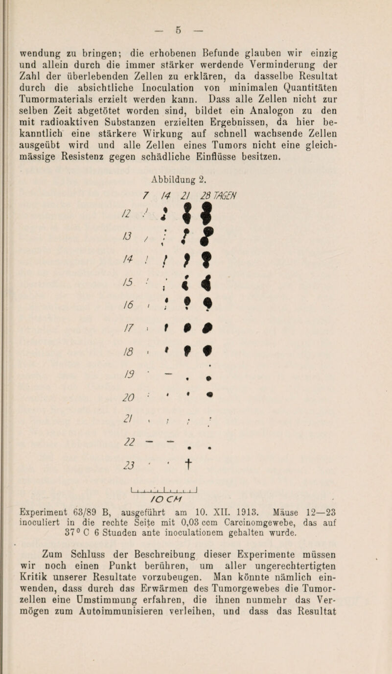Wendung zu bringen; die erhobenen Befunde glauben wir einzig und allein durch die immer stärker werdende Verminderung der Zahl der überlebenden Zellen zu erklären, da dasselbe Resultat durch die absichtliche Inoculation von minimalen Quantitäten Tumormaterials erzielt werden kann. Dass alle Zellen nicht zur selben Zeit abgetötet worden sind, bildet ein Analogon zu den mit radioaktiven Substanzen erzielten Ergebnissen, da hier be¬ kanntlich eine stärkere Wirkung auf schnell wachsende Zellen ausgeübt wird und alle Zellen eines Tumors nicht eine gleich- mässige Resistenz gegen schädliche Einflüsse besitzen. Abbildung 2. 7 14 2! 28 TAGEN 17 . t 9 0 18 • • 9 f 13 ' ~ . * 20 22 - - • « 23 4 ' t I_■ * ■ ■ I i i i '_I /O CM Experiment 63/89 B, ausgeführt am 10. XII. 1913. Mäuse 12—23 inoculiert in die rechte Seite mit 0,03 ccm Carcinomgewebe, das auf 37° C 6 Stunden ante inoculationem gehalten wurde. Zum Schluss der Beschreibung dieser Experimente müssen wir noch einen Punkt berühren, um aller ungerechtertigten Kritik unserer Resultate vorzubeugen. Man könnte nämlich ein¬ wenden, dass durch das Erwärmen des Tumorgewebes die Tumor¬ zellen eine Umstimmung erfahren, die ihnen nunmehr das Ver¬ mögen zum Autoimmunisieren verleihen, und dass das Resultat
