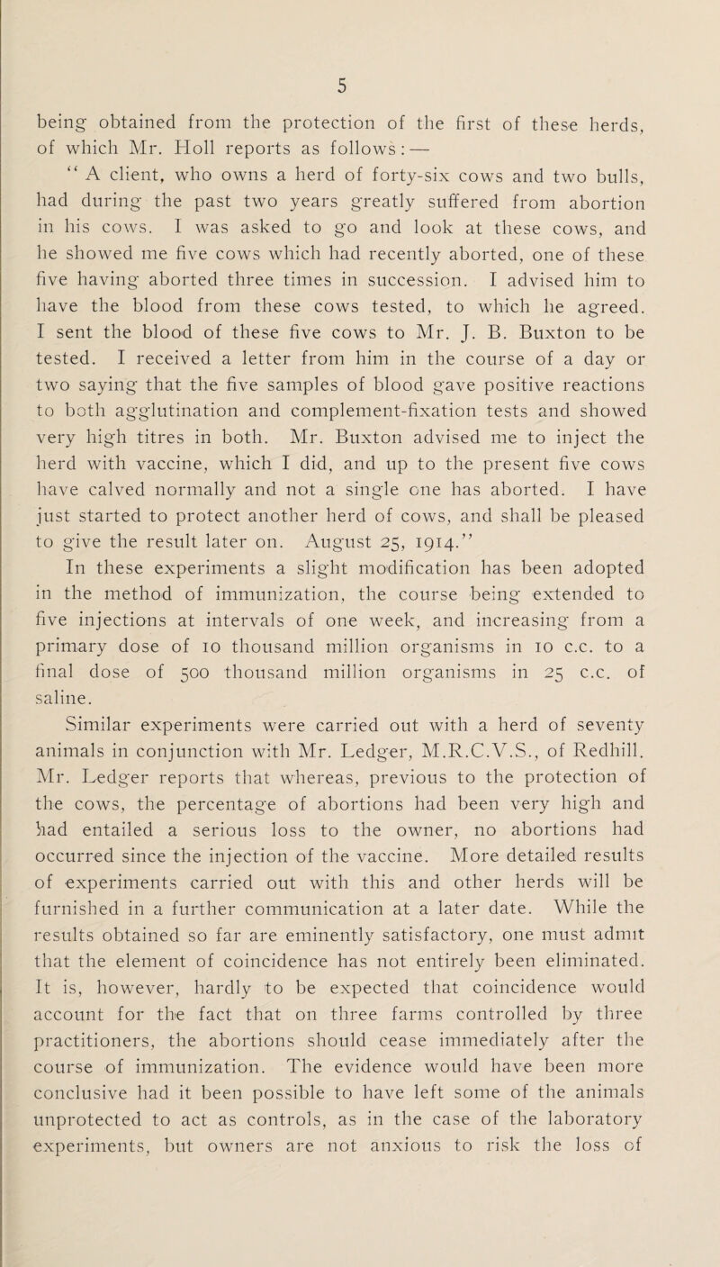 being obtained from the protection of the first of these herds, of which Mr. Holl reports as follows: — “ A client, who owns a herd of forty-six cows and two bulls, had during the past two years greatly suffered from abortion in his cows. I was asked to go and look at these cows, and he showed me five cows which had recently aborted, one of these five having aborted three times in succession. I advised him to have the blood from these cows tested, to which he agreed. I sent the blood of these five cows to Mr. J. B. Buxton to be tested. I received a letter from him in the course of a day or two saying that the five samples of blood gave positive reactions to both agglutination and complement-fixation tests and showed very high titres in both. Mr. Buxton advised me to inject the herd with vaccine, which I did, and up to the present five cows have calved normally and not a single one has aborted. I have just started to protect another herd of cows, and shall be pleased to give the result later on. August 25, 1914.” In these experiments a slight modification has been adopted in the method of immunization, the course being extended to five injections at intervals of one week, and increasing from a primary dose of 10 thousand million organisms in 10 c.c. to a final dose of 500 thousand million organisms in 25 c.c. of saline. Similar experiments were carried out with a herd of seventy animals in conjunction with Mr. Ledger, M.R.C.V.S., of Redhill. Mr. Ledger reports that whereas, previous to the protection of the cows, the percentage of abortions had been very high and had entailed a serious loss to the owner, no abortions had occurred since the injection of the vaccine. More detailed results of experiments carried out with this and other herds will be furnished in a further communication at a later date. While the results obtained so far are eminently satisfactory, one must admit that the element of coincidence has not entirely been eliminated. It is, however, hardly to be expected that coincidence would account for the fact that on three farms controlled by three practitioners, the abortions should cease immediately after the course of immunization. The evidence would have been more conclusive had it been possible to have left some of the animals unprotected to act as controls, as in the case of the laboratory experiments, but owners are not anxious to risk the loss of