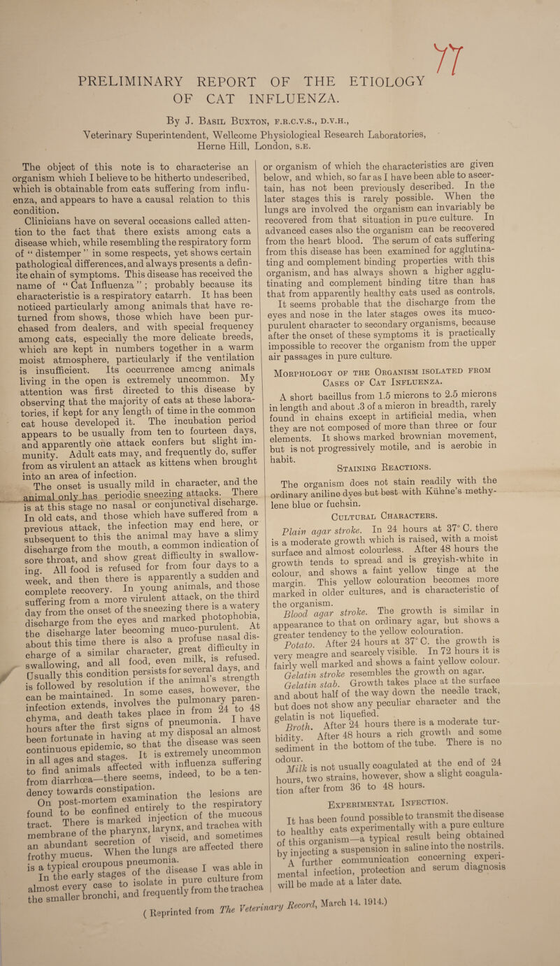 PRELIMINARY REPORT OF THE ETIOLOGY OF CAT INFLUENZA. By J. Basil Buxton, f.r.c.v.s., d.v.h., Veterinary Superintendent, Wellcome Physiological Research Laboratories, Herne Hill, London, s.e. The object of this note is to characterise an organism which I believe to be hitherto undescribed, which is obtainable from cats suffering from influ¬ enza, and appears to have a causal relation to this condition. Clinicians have on several occasions called atten¬ tion to the fact that there exists among cats a disease which, while resembling the respiratory form of “ distemper ’’ in some respects, yet shows certain pathological differences, and always presents a defin¬ ite chain of symptoms. This disease has received the name of “ Cat Influenza ” ; probably because its characteristic is a respiratory catarrh. It has been noticed particularly among animals that have re¬ turned from shows, those which have been pur¬ chased from dealers, and with special frequency among cats, especially the more delicate breeds, which are kept in numbers together in a warm moist atmosphere, particularly if the ventilation is insufficient. Its occurrence among animals living in the open is extremely uncommon. My attention was first directed to this disease by observing that the majority of cats at these labora¬ tories, if kept for any length of time in the common cat house developed it. The incubation period appears to be usually from ten to fourteen days, and apparently one attack confers but slight im¬ munity. Adult cats may, and frequently do, suffer from as virulent an attack as kittens when broug 1 into an area of infection. . , ,, The onset is usually mild in character, and the animal only, has periodic sneezing attacks. There is at this stage no nasal or conjunctival discharge. In old cats, and those which have suffered from a previous attack, the infection may end here or subsequent to this the animal may have a slimy discharge from the mouth, a common indication oi sore throat, and show great difficulty in swallow¬ ing All food is refused for from four days to a week, and then there is apparently a sudden and complete recovery. In young amimats iand those suffering from a more virulent attack, on the thud dav from the onset of the sneezing there is a watery discharge from the eyes and marked photophobia the discharge later becoming muco-purulent. A aboufthis time there is also a profuse nasal dis¬ charge of a similar character, great difficulty cnai^e t 11 fnnu pven milk, is refused. fjTuallyT^ condition persists f°r^d^h infection extends, involves the Pu™° ^ * 48 hours after the first > g disposal an almost been fortunate in hav^f, ^Vhe disease was seen continuous epidemic, extremely uncommon in *11 »g« ,nd itzges It >. «—eri»g dency towards constipation.^^ ^ legiong are On post-mortem , to the respiratory found to be confine ;niPction of the mucous «»*, TS iXnnJr trachea»ith membrane of the p y v';scid and sometimes frothbyUmucus. Then the lungs are affected there SSSlnoSi, and frequently from the trachea ( Reprinted from The Veterinary Record, March U. ) or organism of which the characteristics are given below, and which, so far as I have been able to ascer¬ tain, has not been previously described. In the later stages this is rarely possible. . When the lungs are involved the organism can invariably be recovered from that situation in pure culture. In advanced cases also the organism can be recovered from the heart blood. The serum of cats suffering from this disease has been examined for agglutina¬ ting and complement binding properties with this organism, and has always shown a higher agglu¬ tinating and complement binding titre than has that from apparently healthy cats used as controls. It seems probable that the discharge from the eyes and nose in the later stages owes its muco¬ purulent character to secondary organisms, because after the onset of these symptoms it is practically impossible to recover the organism from the upper air passages in pure culture. Morphology of the Organism isolated from Cases of Cat Influenza. A short bacillus from 1.5 microns to 2.5 microns in length and about .3 of a micron in breadth, rarely found in chains except in artificial media, when they are not composed of more than three or foui elements. It shows marked brownian movement, but is not progressively motile, and is aerobic in habit. Staining Reactions. The organism does not stain readily with the ordinary aniline dyes but best with Kuhne’s methy¬ lene blue or fuchsin. Cultural Characters. Plain agar stroke. In 24 hours at 37 C. there is a moderate growth which is raised, with a moist surface and almost colourless. After 48 hours the growtn tends to spread and is greyish-white m colour, and shows a faint yellow tinge at the margin. This yellow colouration becomes more marked in older cultures, and is characteristic of the organism. . ... . Blood agar stroke. The growth is similar m appearance to that on ordinary agar, but shows a greater tendency to the yellow colouration. b Potato After 24 hours at 37° C. the growth is very meagre and scarcely visible. In 72 hours it is fairly well marked and shows a faint yellow colour. Gelatin stroke resembles the growth on agar. Gelatin stab. Growth takes place at the surface and about half of the way down the needle track, but does not show any peculiar character and the gelatin is not liquefied. . , . . * Broth. After 24 hours there is a moderate tur- hhlitv ' After 48 hours a rich growth and some sediment in the bottom of the tube. There is no 0<1°MUk is not usually coagulated at the end of 24 hours two strains, however, show a slight coagula¬ tion after from 36 to 48 hours. Experimental Infection. Tt- has been found possible to transmit the disease to healthy cats experimentally with a pure culture hv iniecting a suspension in saline into the nostrils. further communication concerning experi¬ mental infection, protection and serum diagnosis will be made at a later date.