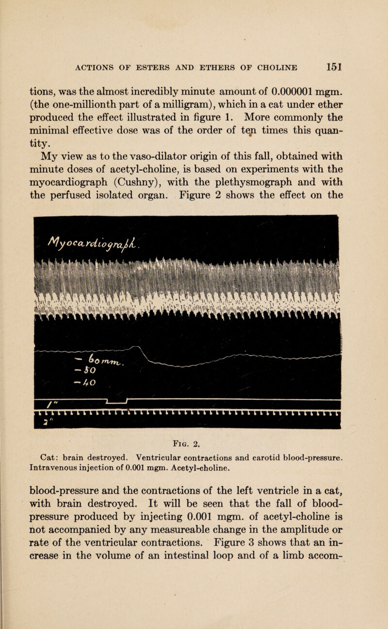 tions, was the almost incredibly minute amount of 0.000001 mgm. (the one-millionth part of a milligram), which in a cat under ether produced the effect illustrated in figure 1. More commonly the minimal effective dose was of the order of te#n times this quan¬ tity. My view as to the vaso-dilator origin of this fall, obtained with minute doses of acetyl-choline, is based on experiments with the myocardiograph (Cushny), with the plethysmograph and with the perfused isolated organ. Figure 2 shows the effect on the Fig. 2. Cat: brain destroyed. Ventricular contractions and carotid blood-pressure. Intravenous injection of 0.001 mgm. Acetyl-choline. blood-pressure and the contractions of the left ventricle in a cat, with brain destroyed. It will be seen that the fall of blood- pressure produced by injecting 0.001 mgm. of acetyl-choline is not accompanied by any measureable change in the amplitude or rate of the ventricular contractions. Figure 3 shows that an in¬ crease in the volume of an intestinal loop and of a limb accom-