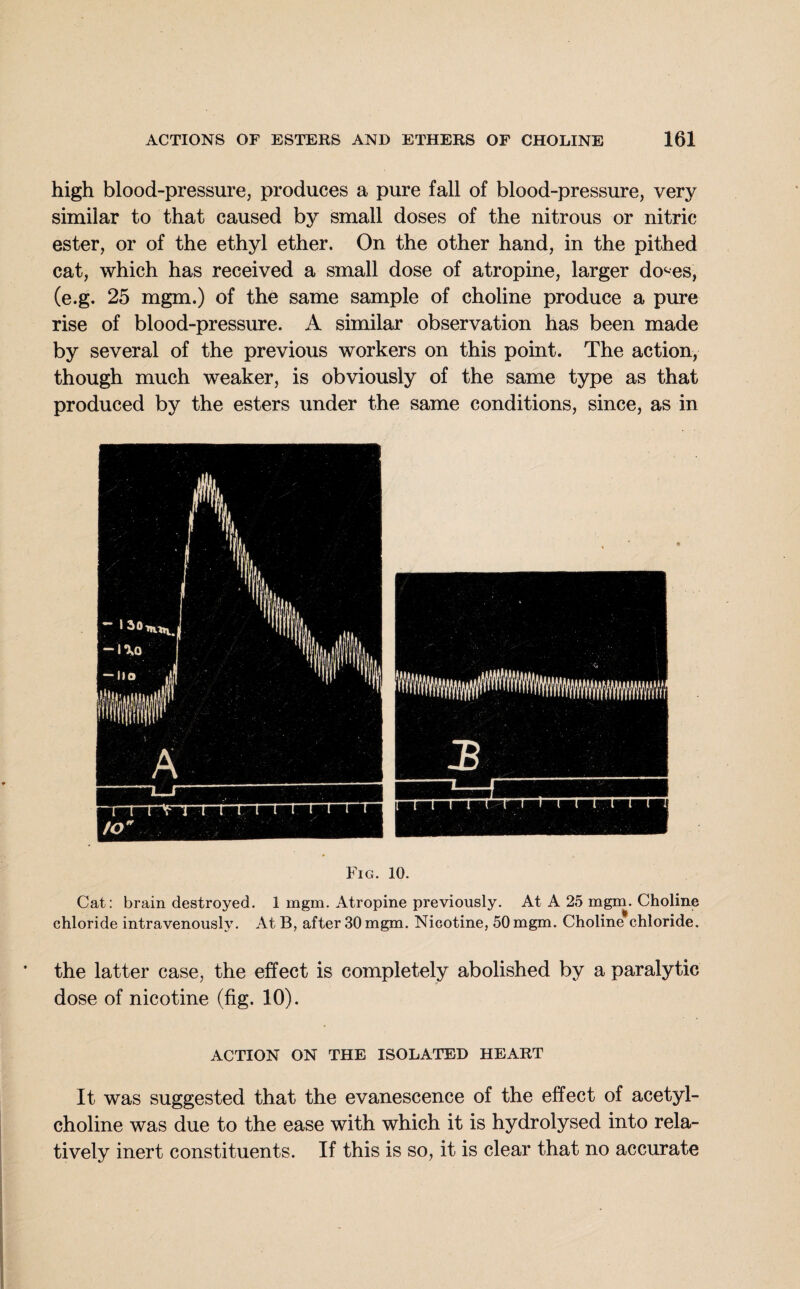 high blood-pressure, produces a pure fall of blood-pressure, very similar to that caused by small doses of the nitrous or nitric ester, or of the ethyl ether. On the other hand, in the pithed cat, which has received a small dose of atropine, larger do^es, (e.g. 25 mgm.) of the same sample of choline produce a pure rise of blood-pressure. A similar observation has been made by several of the previous workers on this point. The action, though much weaker, is obviously of the same type as that produced by the esters under the same conditions, since, as in 10. Cat: brain destroyed. 1 mgm. Atropine previously. At A 25 mgm. Choline chloride intravenously. At B, after 30 mgm. Nicotine, 50mgm. Choline chloride. the latter case, the effect is completely abolished by a paralytic dose of nicotine (fig. 10). ACTION ON THE ISOLATED HEART It was suggested that the evanescence of the effect of acetyl¬ choline was due to the ease with which it is hydrolysed into rela¬ tively inert constituents. If this is so, it is clear that no accurate