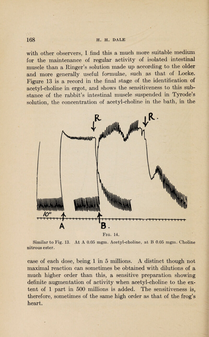 with other observers, I find this a much more suitable medium for the maintenance of regular activity of isolated intestinal muscle than a Ringer’s solution made up according to the older and more generally useful formulae, such as that of Locke. Figure 13 is a record in the final stage of the identification of acetyl-choline in ergot, and shows the sensitiveness to this sub¬ stance of the rabbit’s intestinal muscle suspended in Tyrode’s solution, the concentration of acetyl-choline in the bath, in the Fig. 14. Similar to Fig. 13. At A 0.05 mgm. Acetyl-choline, at B 0.05 mgm. Choline nitrous ester. case of each dose, being 1 in 5 millions. A distinct though not maximal reaction can sometimes be obtained with dilutions of a much higher order than this, a sensitive preparation showing definite augmentation of activity when acetyl-choline to the ex¬ tent of 1 part in 500 millions is added. The sensitiveness is, therefore, sometimes of the same high order as that of the frog’s heart.