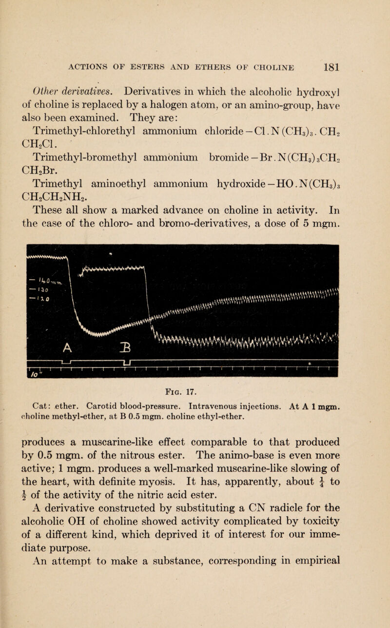 Other derivatives. Derivatives in which the alcoholic hydroxy] of choline is replaced by a halogen atom, or an amino-group, have also been examined. They are: Trimethyl-chlorethyl ammonium chloride — Cl. N (CH3)3. CH2 CHoCl. Trimethyl-bromethyl ammonium bromide — Br. N (CH3) 3CH2 CH2Br. Trimethyl aminoethyl ammonium hydroxide —HO.N(CH3)3 ch2ch2nh2. These all show a marked advance on choline in activity. In the case of the chloro- and bromo-derivatives, a dose of 5 mgm. Fig. 17. Cat: ether. Carotid blood-pressure. Intravenous injections. At A 1 mgm. choline methyl-ether, at B 0.5 mgm. choline ethyl-ether. produces a muscarine-like effect comparable to that produced by 0.5 mgm. of the nitrous ester. The animo-base is even more active; 1 mgm. produces a well-marked muscarine-like slowing of the heart, with definite myosis. It has, apparently, about f to \ of the activity of the nitric acid ester. A derivative constructed by substituting a CN radicle for the alcoholic OH of choline showed activity complicated by toxicity of a different kind, which deprived it of interest for our imme¬ diate purpose. An attempt to make a substance, corresponding in empirical