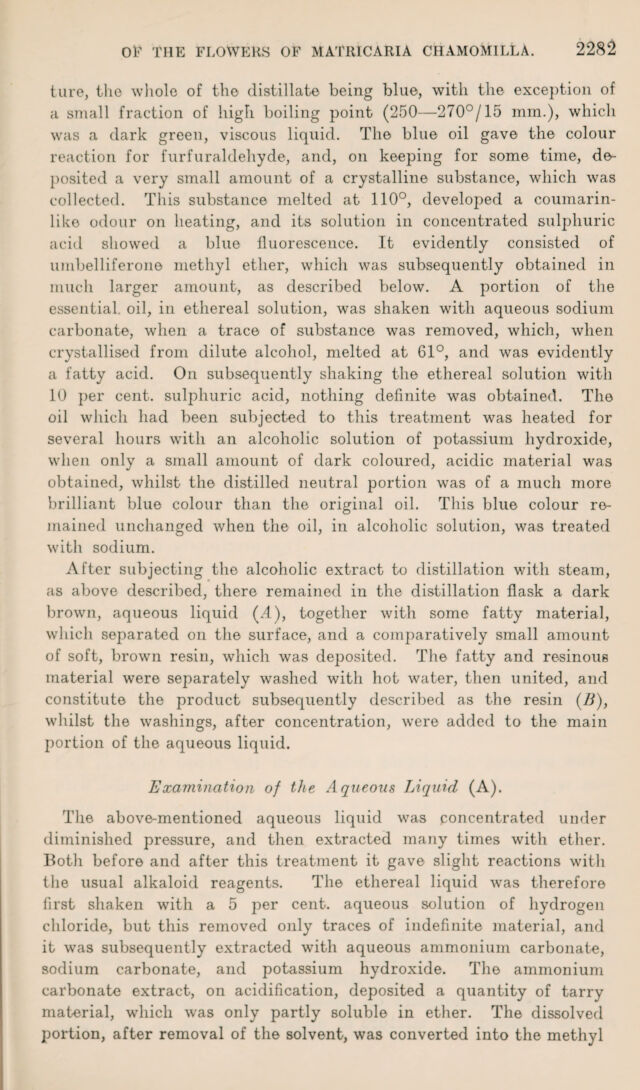 digitised image 3