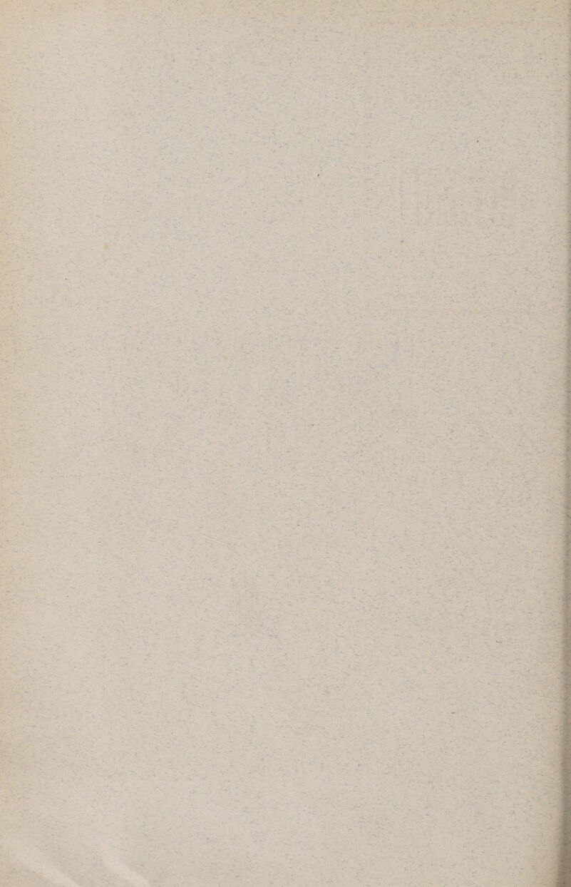 N .