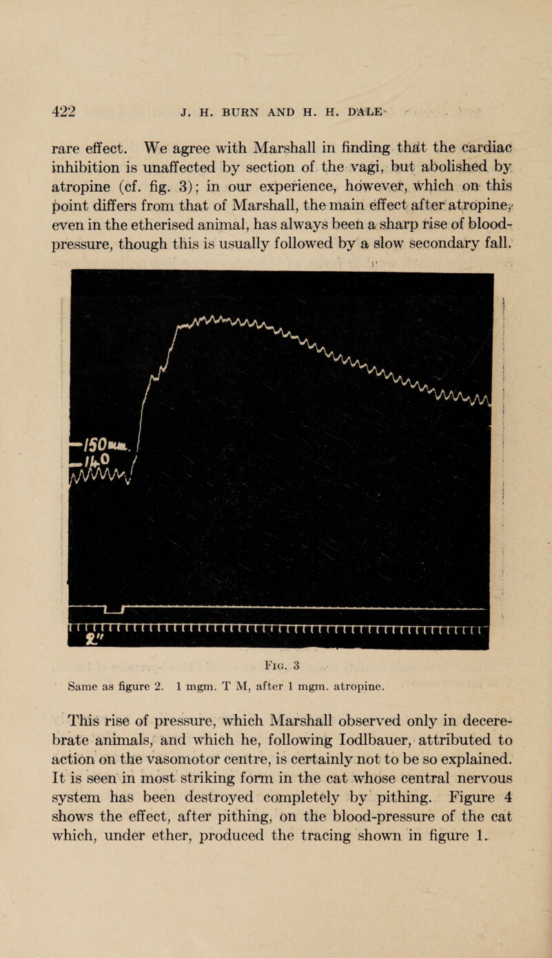 rare effect. We agree with Marshall in finding thatt the cardiac inhibition is unaffected by section of the vagi, but abolished by atropine (cf. fig. 3); in our experience, however, which on this boint differs from that of Marshall, the main effect after atropine? even in the etherised animal, has always been a sharp rise of blood- pressure, though this is usually followed by a slow secondary fall. Fig. 3 Same as figure 2. 1 mgm. T M, after 1 mgra. atropine. This rise of pressure, which Marshall observed only in decere¬ brate animals, and which he, following Iodlbauer, attributed to action on the vasomotor centre, is certainly not to be so explained. It is seen in most striking form in the cat whose central nervous system has been destroyed completely by pithing. Figure 4 shows the effect, after pithing, on the blood-pressure of the cat which, under ether, produced the tracing shown in figure 1.