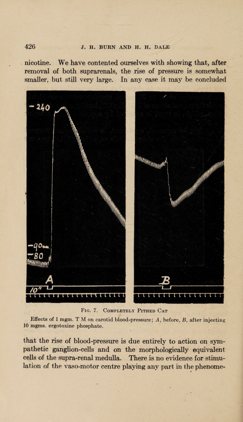 nicotine. We have contented ourselves with showing that, after removal of both suprarenals, the rise of pressure is somewhat smaller, but still very large. In any case it may be concluded Fig. 7. Completely Pithed Cat Effects of 1 mgm. T M on carotid blood-pressure; A, before, B, after injecting 10 mgms. ergotoxine phosphate. that the rise of blood-pressure is due entirely to action on sym¬ pathetic ganglion-cells and on the morphologically equivalent cells of the supra-renal medulla. There is no evidence for stimu¬ lation of the vaso-motor centre playing any part in the phenome-