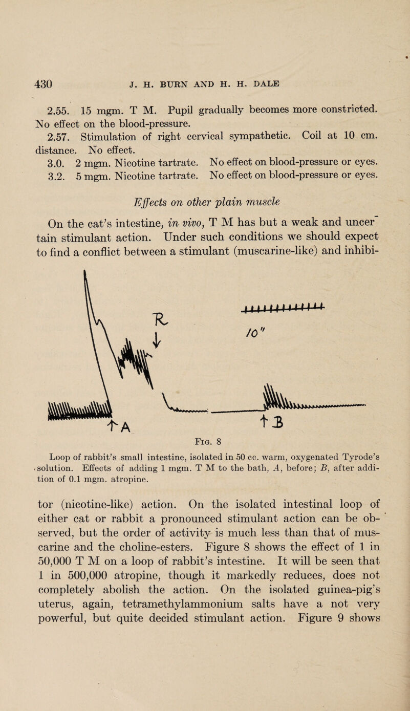 2.55. 15 mgm. T M. Pupil gradually becomes more constricted. No effect on the blood-pressure. 2.57. Stimulation of right cervical sympathetic. Coil at 10 cm. distance. No effect. 3.0. 2 mgm. Nicotine tartrate. No effect on blood-pressure or eyes. 3.2. 5 mgm. Nicotine tartrate. No effect on blood-pressure or eyes. Effects on other plain muscle On the caffs intestine, in vivo, T M has but a weak and uncer tain stimulant action. Under such conditions we should expect to find a conflict between a stimulant (muscarine-like) and inhibi- Loop of rabbit’s small intestine, isolated in 50 cc. warm, oxygenated Tyrode’s /solution. Effects of adding 1 mgm. T M to the bath, A, before; B, after addi¬ tion of 0.1 mgm. atropine. tor (nicotine-like) action. On the isolated intestinal loop of either cat or rabbit a pronounced stimulant action can be ob- ’ served, but the order of activity is much less than that of mus¬ carine and the choline-esters. Figure 8 shows the effect of 1 in 50,000 T M on a loop of rabbit’s intestine. It will be seen that 1 in 500,000 atropine, though it markedly reduces, does not completely abolish the action. On the isolated guinea-pig’s uterus, again, tetramethylammonium salts have a not very powerful, but quite decided stimulant action. Figure 9 shows
