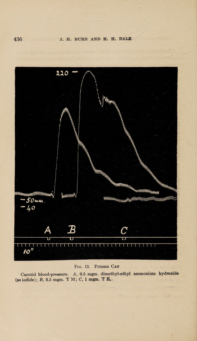 Fig. 13. Pithed Cat Carotid blood-pressure. A, 0.5 mgm. dimethyl-ethyl ammonium hydroxide (asiodide); B, 0.5 mgm. T M; C, 1 mgm. T E,s 1 ‘ ✓ i*; 1 ; ' i \ * . . • - . . ' * /