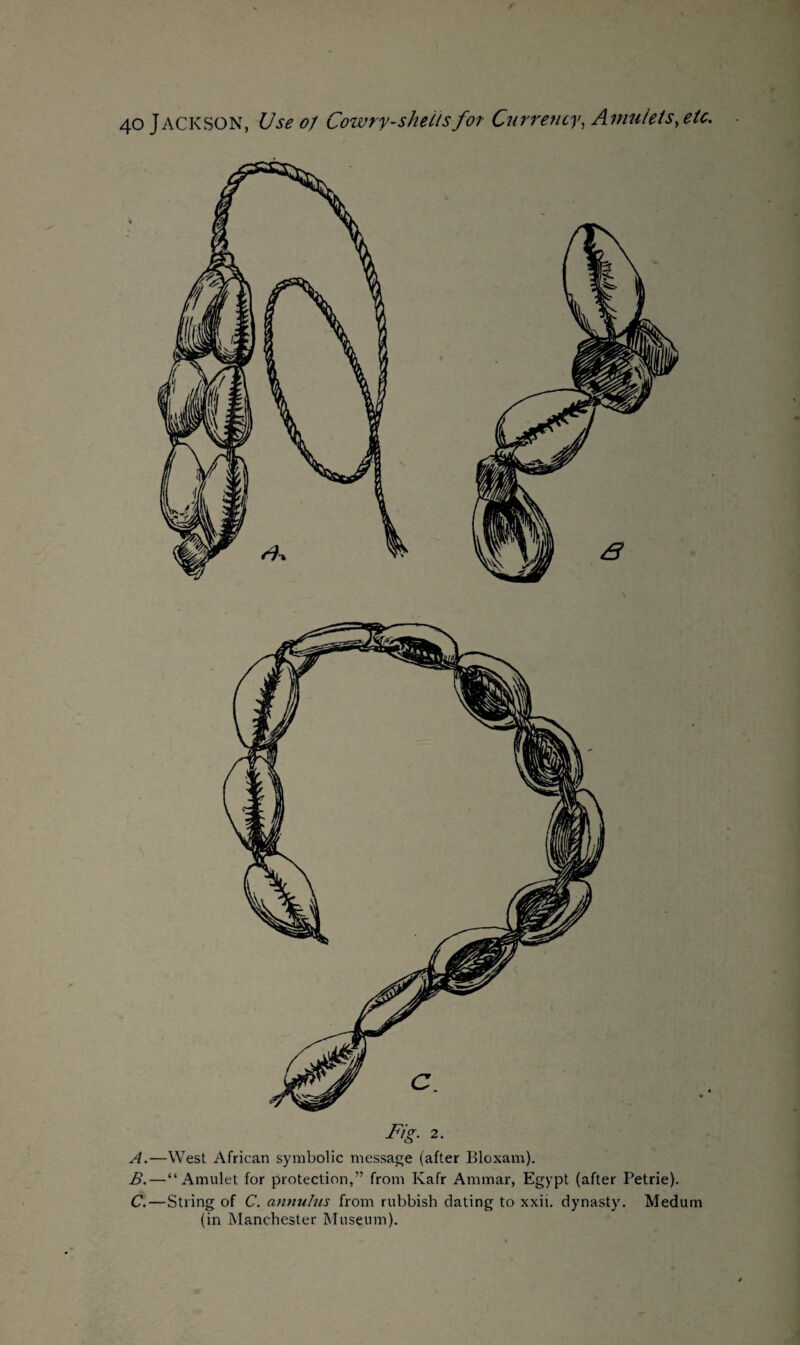 2. —West African symbolic message (after Bloxam). B. — “Amulet for protection,” from Kafr Ammar, Egypt (after Petrie). C. —String of C. annulus from rubbish dating to xxii. dynasty. Medum (in Manchester Museum).